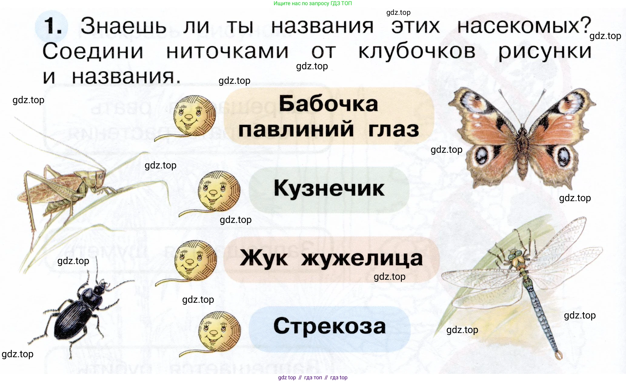 ГДЗ Окружающий мир, 1 класс рабочая тетрадь, авторы: Плешаков Андрей Анатольевич, Новицкая Марина Юрьевна, издательство Просвещение, Москва, 2023, белого цвета, Часть 2, страница 18, номер 1, Условие