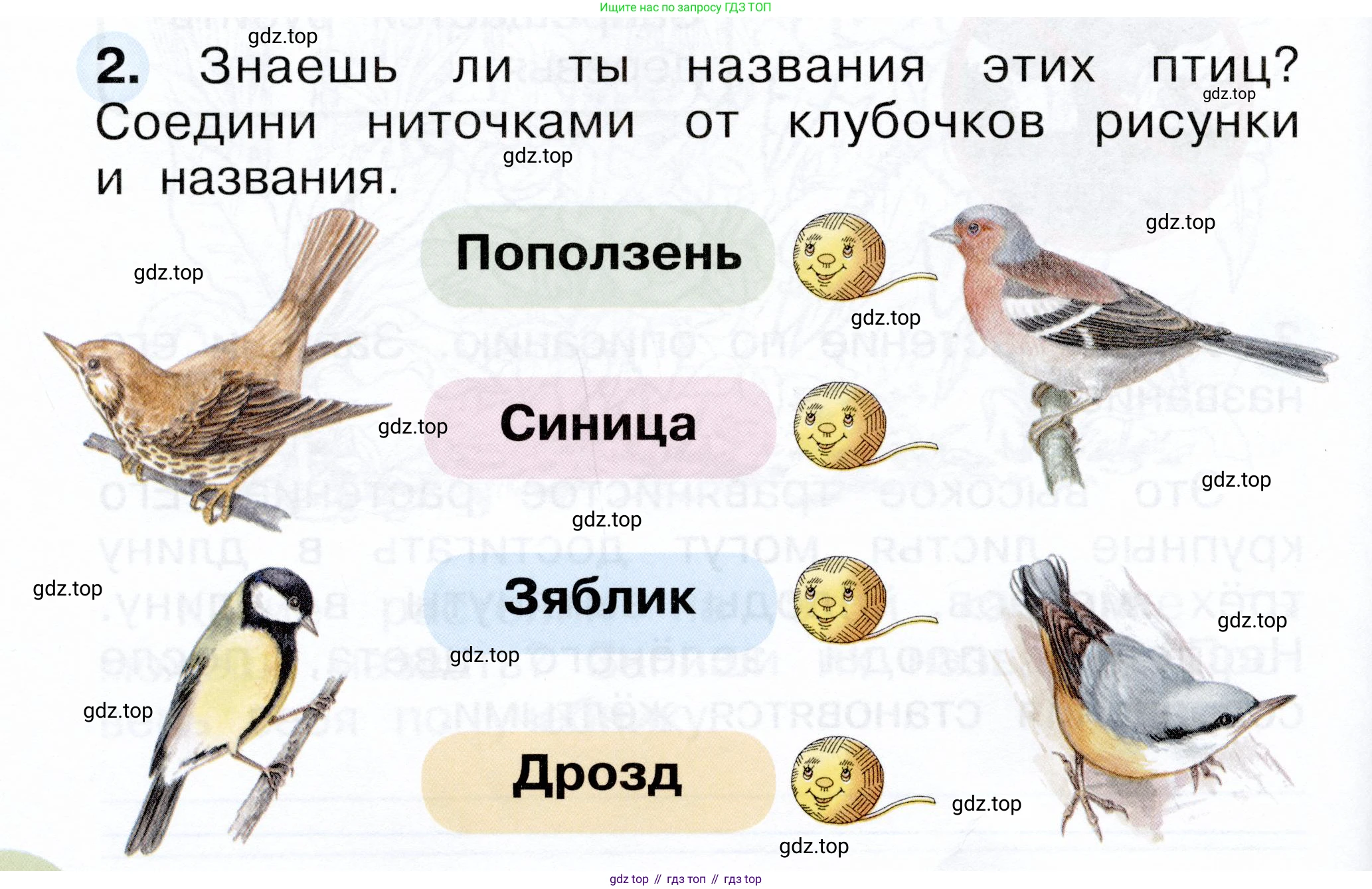 ГДЗ Окружающий мир, 1 класс рабочая тетрадь, авторы: Плешаков Андрей Анатольевич, Новицкая Марина Юрьевна, издательство Просвещение, Москва, 2023, белого цвета, Часть 2, страница 18, номер 2, Условие
