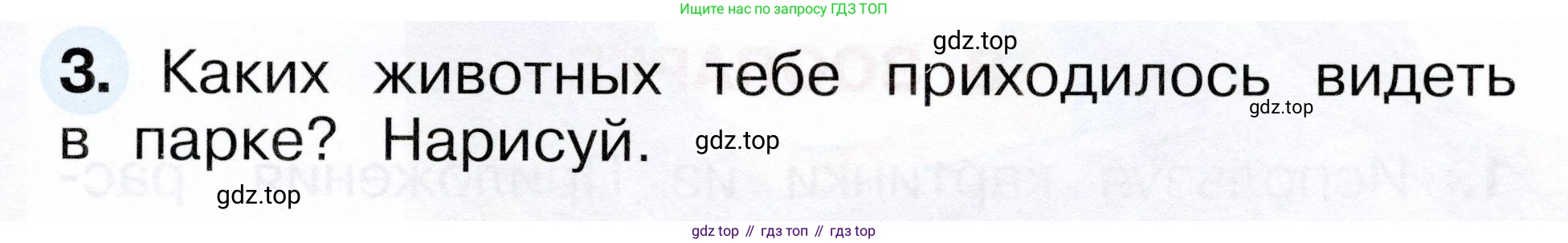 ГДЗ Окружающий мир, 1 класс рабочая тетрадь, авторы: Плешаков Андрей Анатольевич, Новицкая Марина Юрьевна, издательство Просвещение, Москва, 2023, белого цвета, Часть 2, страница 19, номер 3, Условие