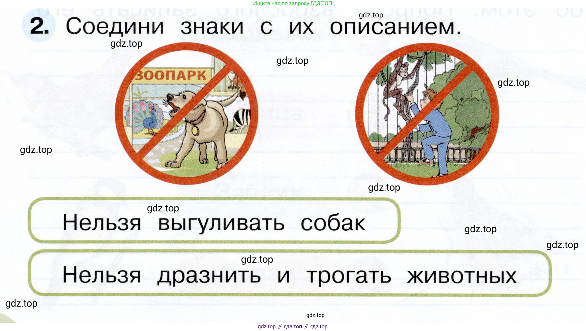ГДЗ Окружающий мир, 1 класс рабочая тетрадь, авторы: Плешаков Андрей Анатольевич, Новицкая Марина Юрьевна, издательство Просвещение, Москва, 2023, белого цвета, Часть 2, страница 20, номер 2, Условие
