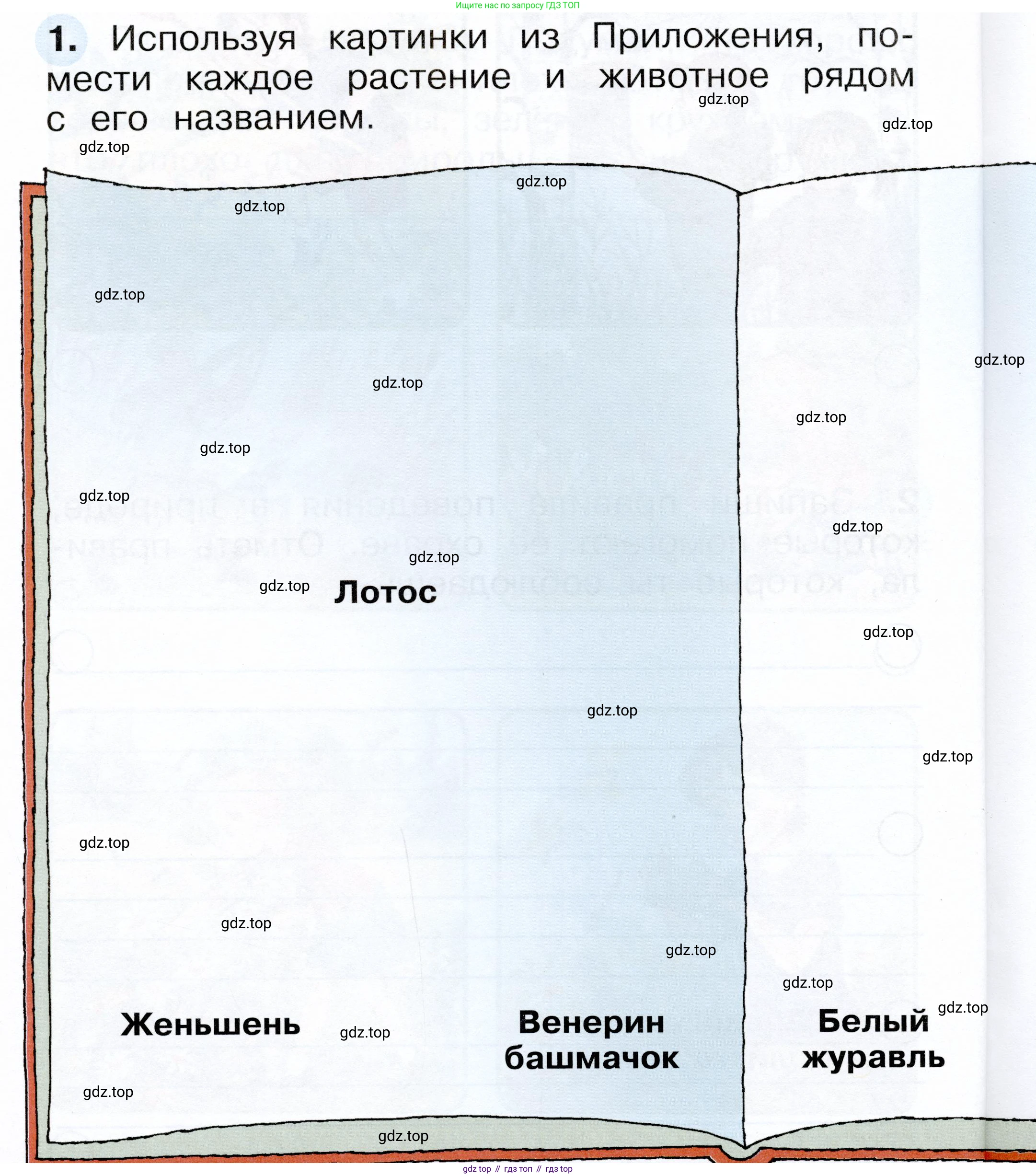 ГДЗ Окружающий мир, 1 класс рабочая тетрадь, авторы: Плешаков Андрей Анатольевич, Новицкая Марина Юрьевна, издательство Просвещение, Москва, 2023, белого цвета, Часть 2, страница 42, номер 1, Условие