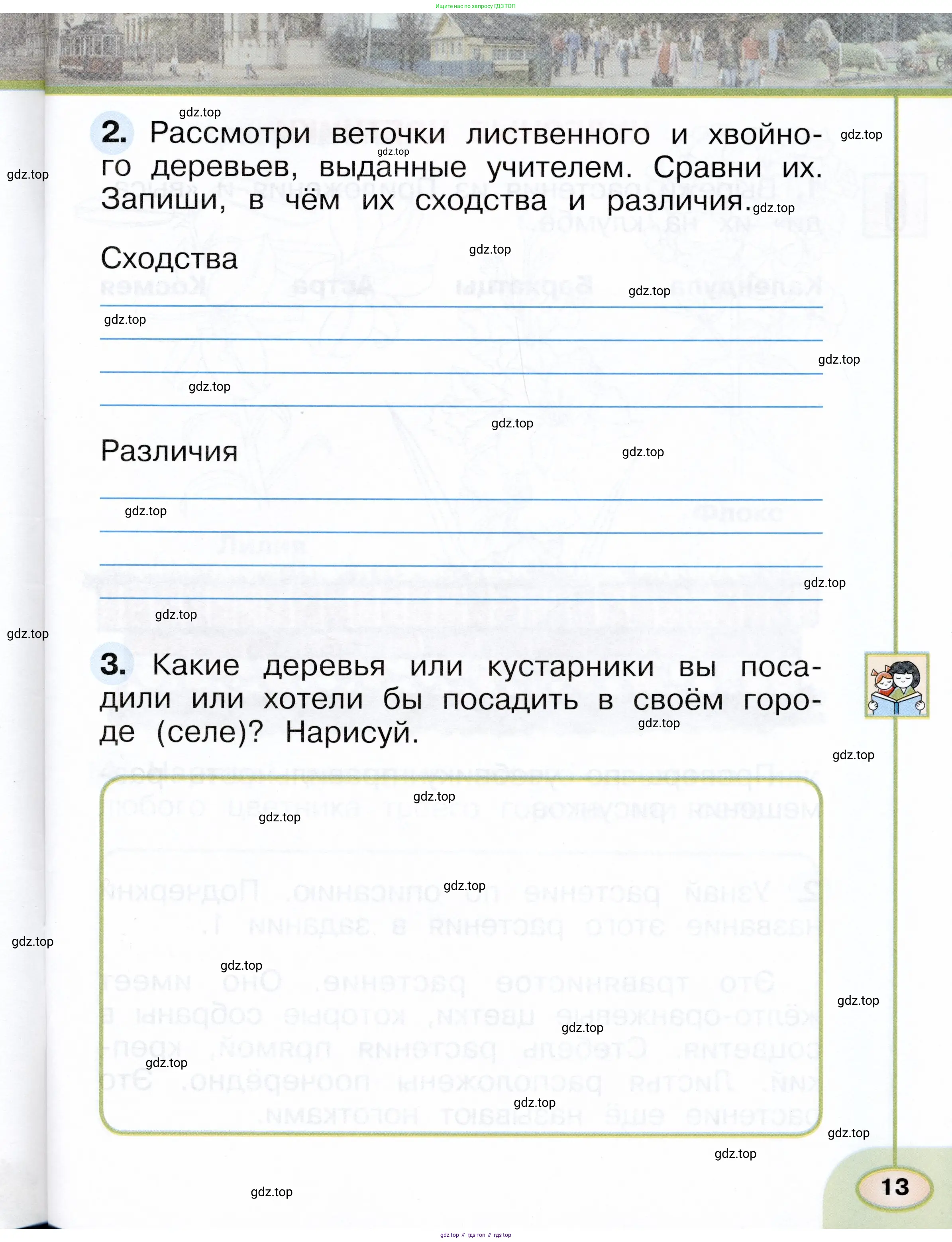 Окружающий мир, 1 класс рабочая тетрадь, авторы: Плешаков Андрей Анатольевич, Новицкая Марина Юрьевна, издательство Просвещение, Москва, 2023, белого цвета, Часть 1, страница 13