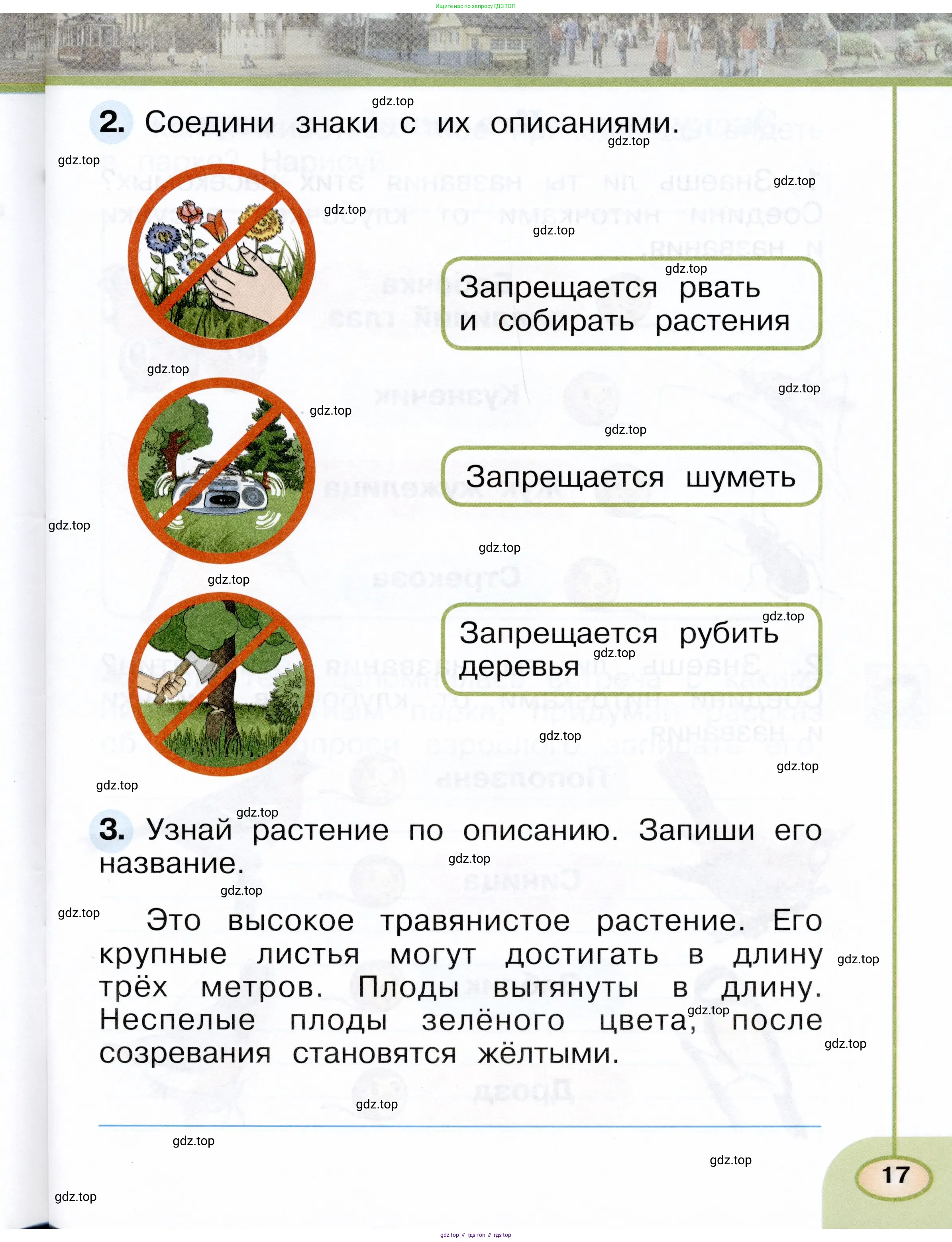 Окружающий мир, 1 класс рабочая тетрадь, авторы: Плешаков Андрей Анатольевич, Новицкая Марина Юрьевна, издательство Просвещение, Москва, 2023, белого цвета, Часть 1, страница 17