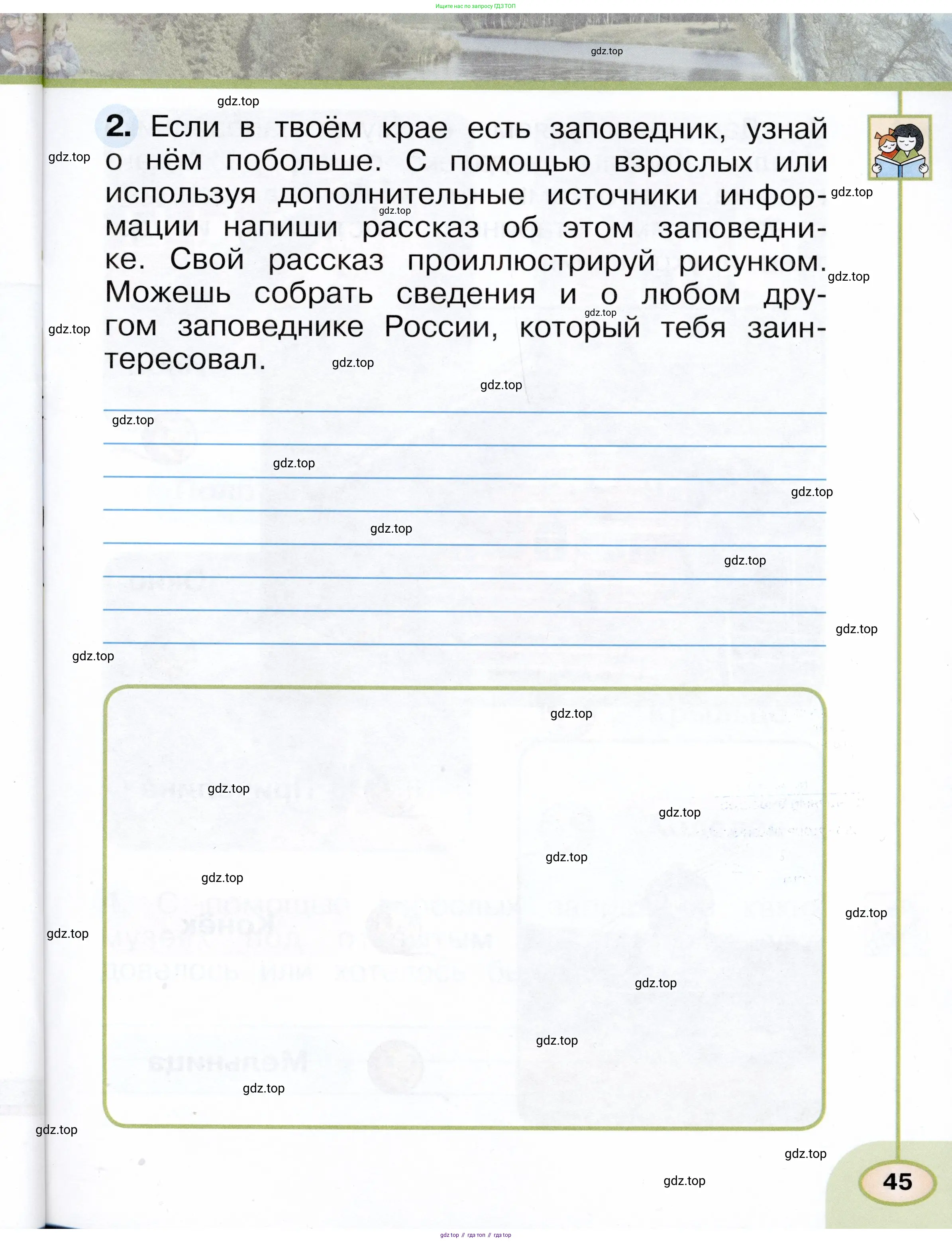 Окружающий мир, 1 класс рабочая тетрадь, авторы: Плешаков Андрей Анатольевич, Новицкая Марина Юрьевна, издательство Просвещение, Москва, 2023, белого цвета, Часть 1, страница 45