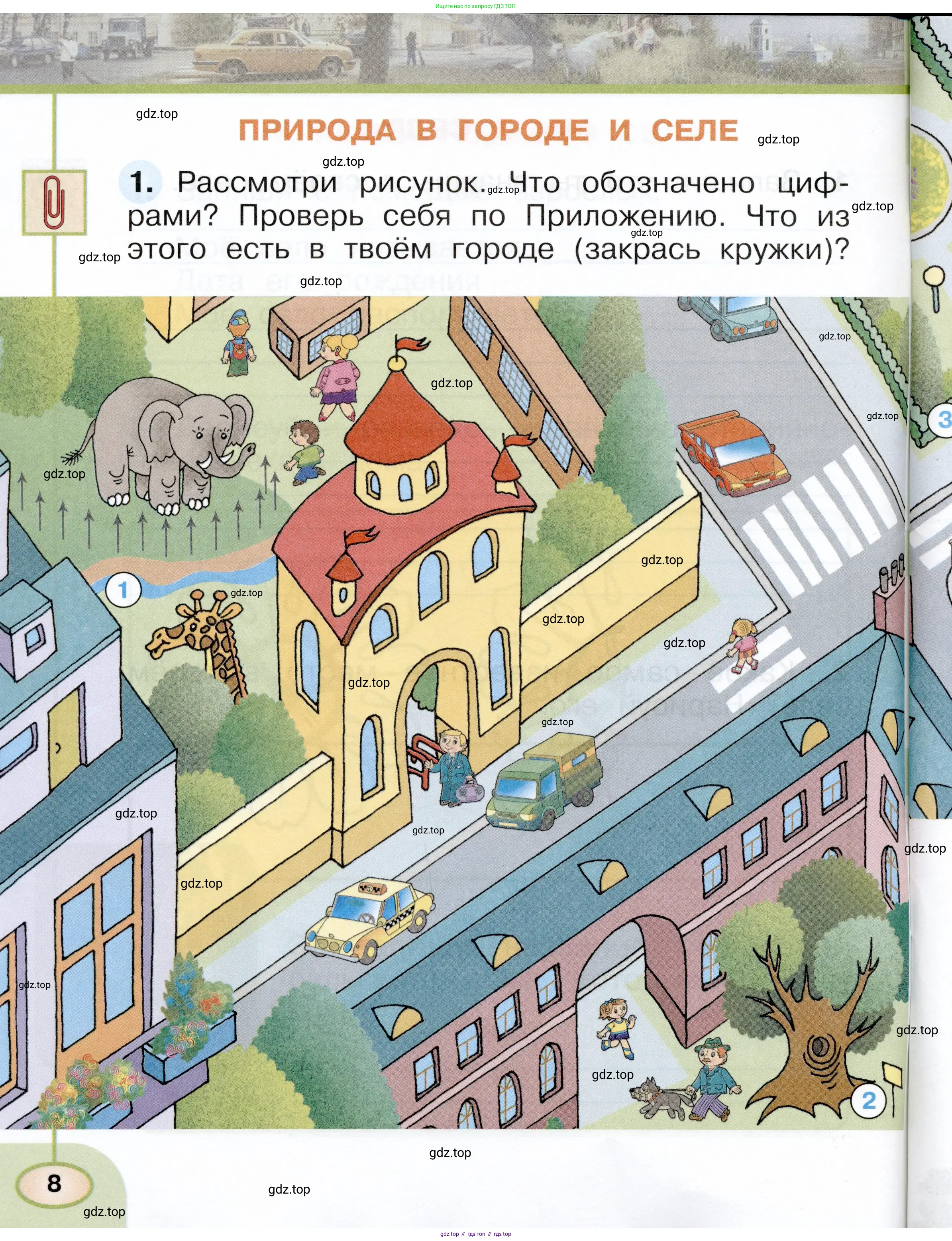 Окружающий мир, 1 класс рабочая тетрадь, авторы: Плешаков Андрей Анатольевич, Новицкая Марина Юрьевна, издательство Просвещение, Москва, 2023, белого цвета, Часть 1, страница 8