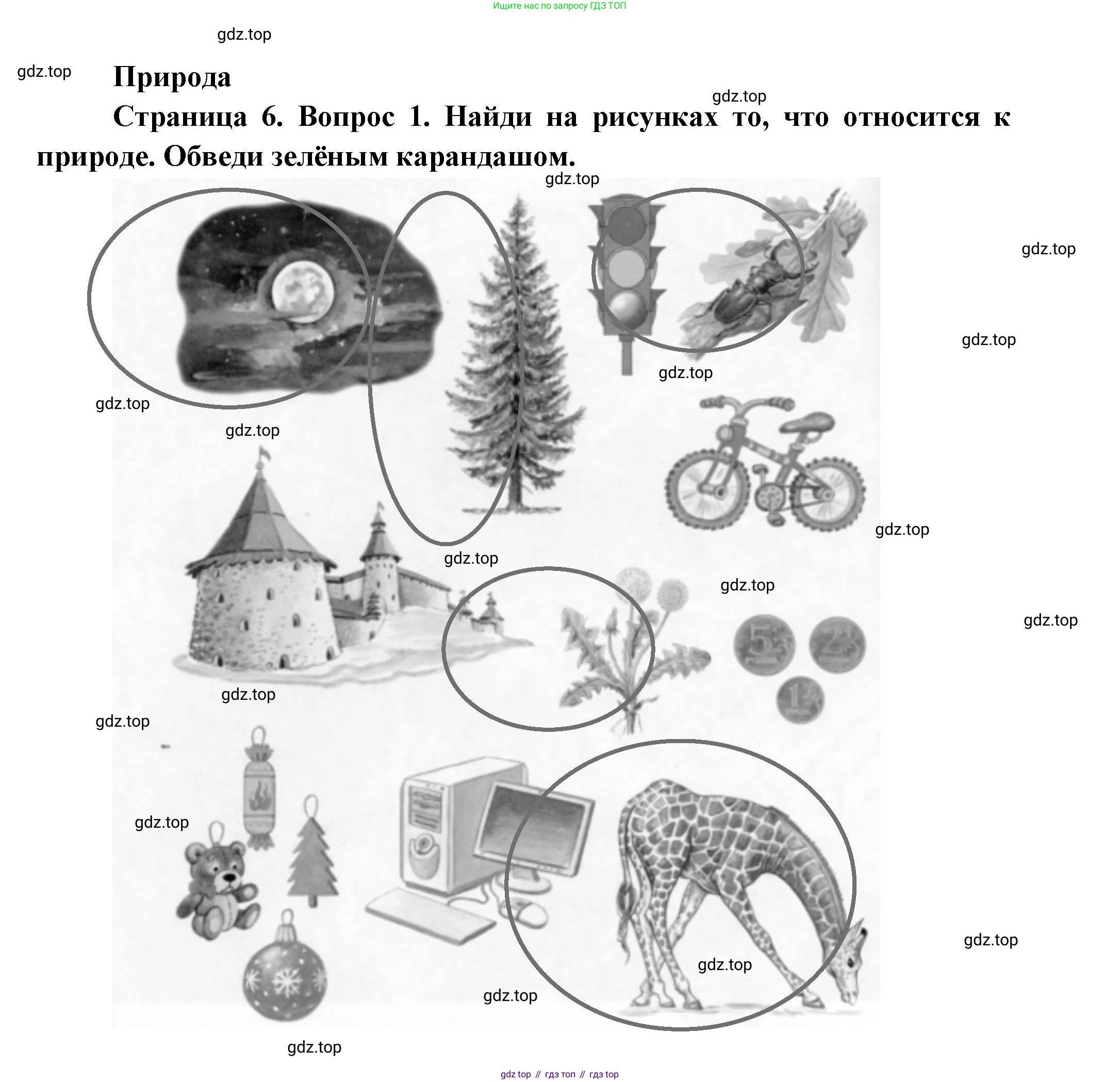 ГДЗ Окружающий мир, 1 класс рабочая тетрадь, авторы: Плешаков Андрей Анатольевич, Новицкая Марина Юрьевна, издательство Просвещение, Москва, 2023, белого цвета, Часть 1, страница 6, номер 1, Решение