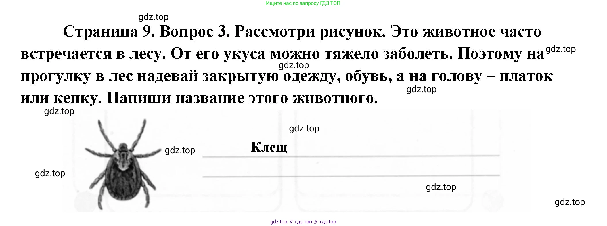 ГДЗ Окружающий мир, 1 класс рабочая тетрадь, авторы: Плешаков Андрей Анатольевич, Новицкая Марина Юрьевна, издательство Просвещение, Москва, 2023, белого цвета, Часть 1, страница 9, номер 3, Решение