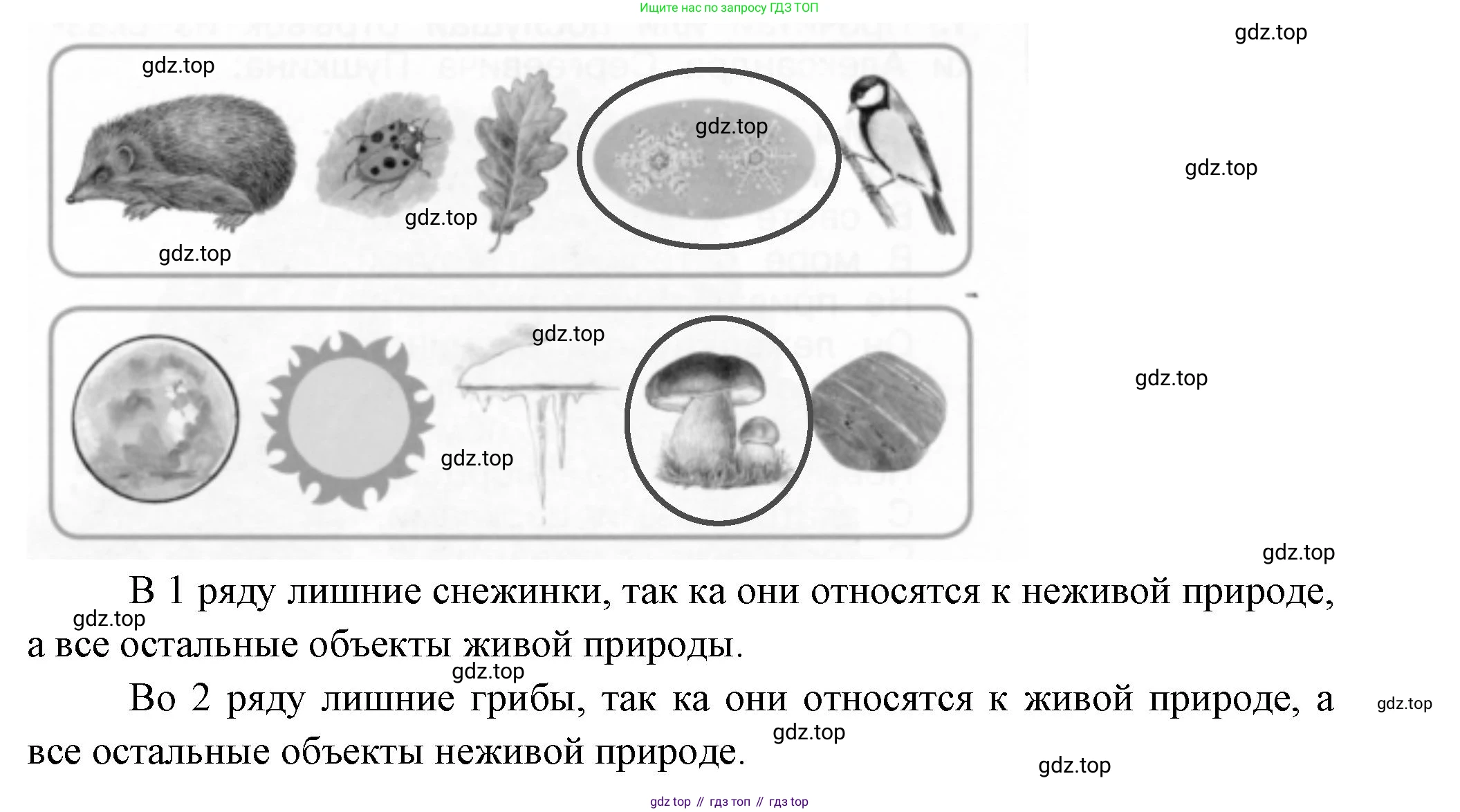 ГДЗ Окружающий мир, 1 класс рабочая тетрадь, авторы: Плешаков Андрей Анатольевич, Новицкая Марина Юрьевна, издательство Просвещение, Москва, 2023, белого цвета, Часть 1, страница 11, номер 2, Решение (продолжение 2)