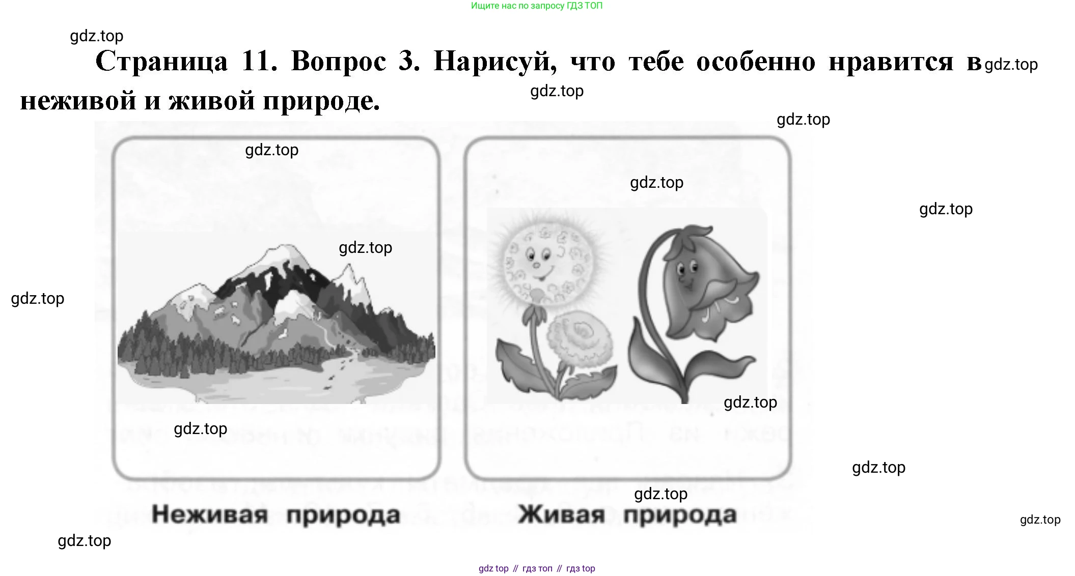ГДЗ Окружающий мир, 1 класс рабочая тетрадь, авторы: Плешаков Андрей Анатольевич, Новицкая Марина Юрьевна, издательство Просвещение, Москва, 2023, белого цвета, Часть 1, страница 11, номер 3, Решение