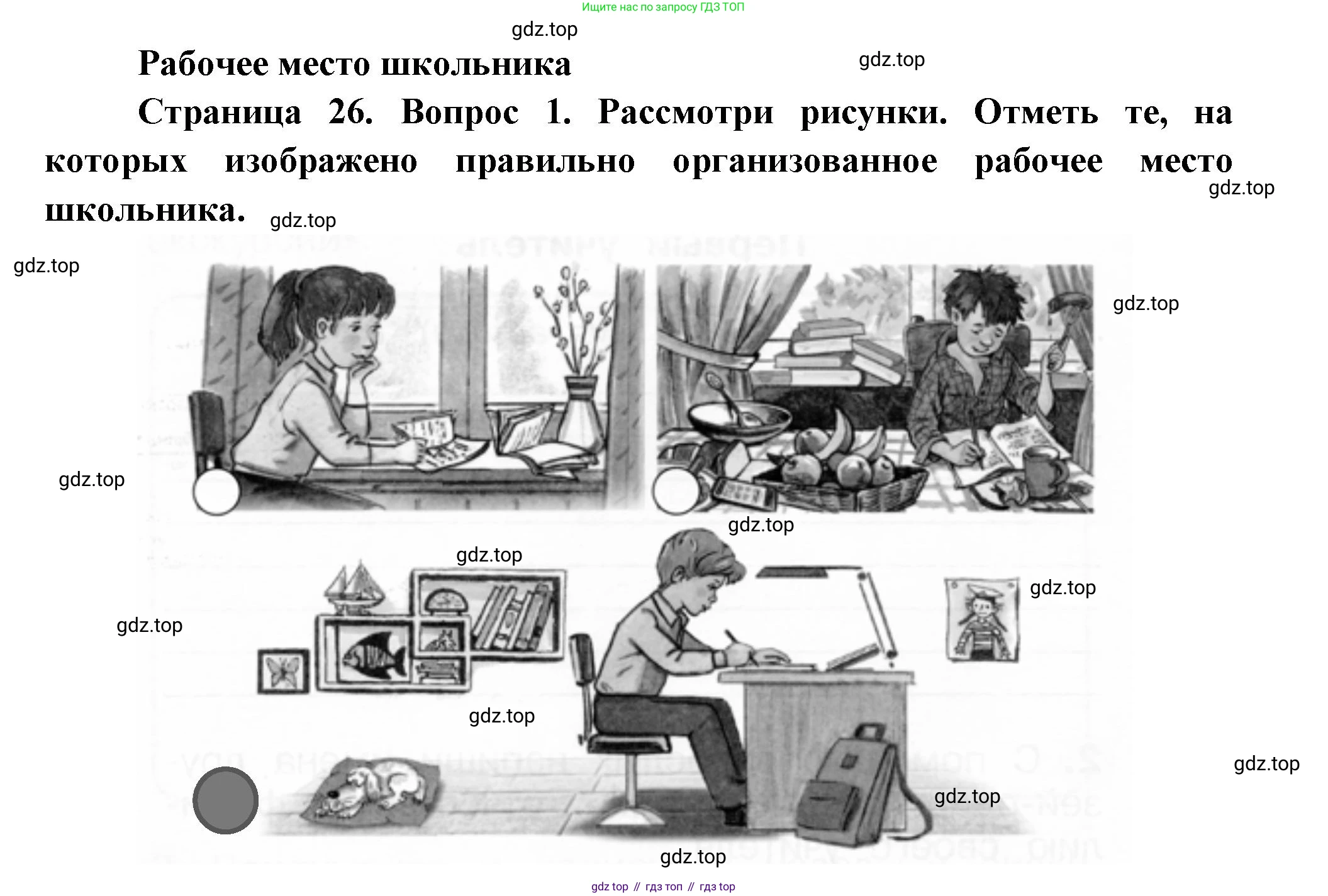 ГДЗ Окружающий мир, 1 класс рабочая тетрадь, авторы: Плешаков Андрей Анатольевич, Новицкая Марина Юрьевна, издательство Просвещение, Москва, 2023, белого цвета, Часть 1, страница 26, номер 1, Решение