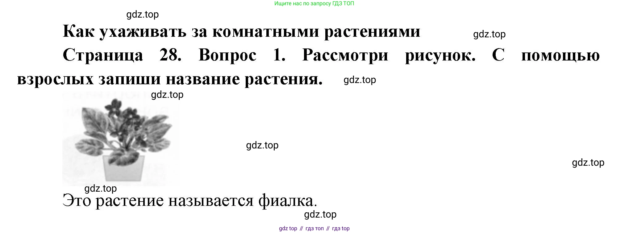 ГДЗ Окружающий мир, 1 класс рабочая тетрадь, авторы: Плешаков Андрей Анатольевич, Новицкая Марина Юрьевна, издательство Просвещение, Москва, 2023, белого цвета, Часть 1, страница 28, номер 1, Решение