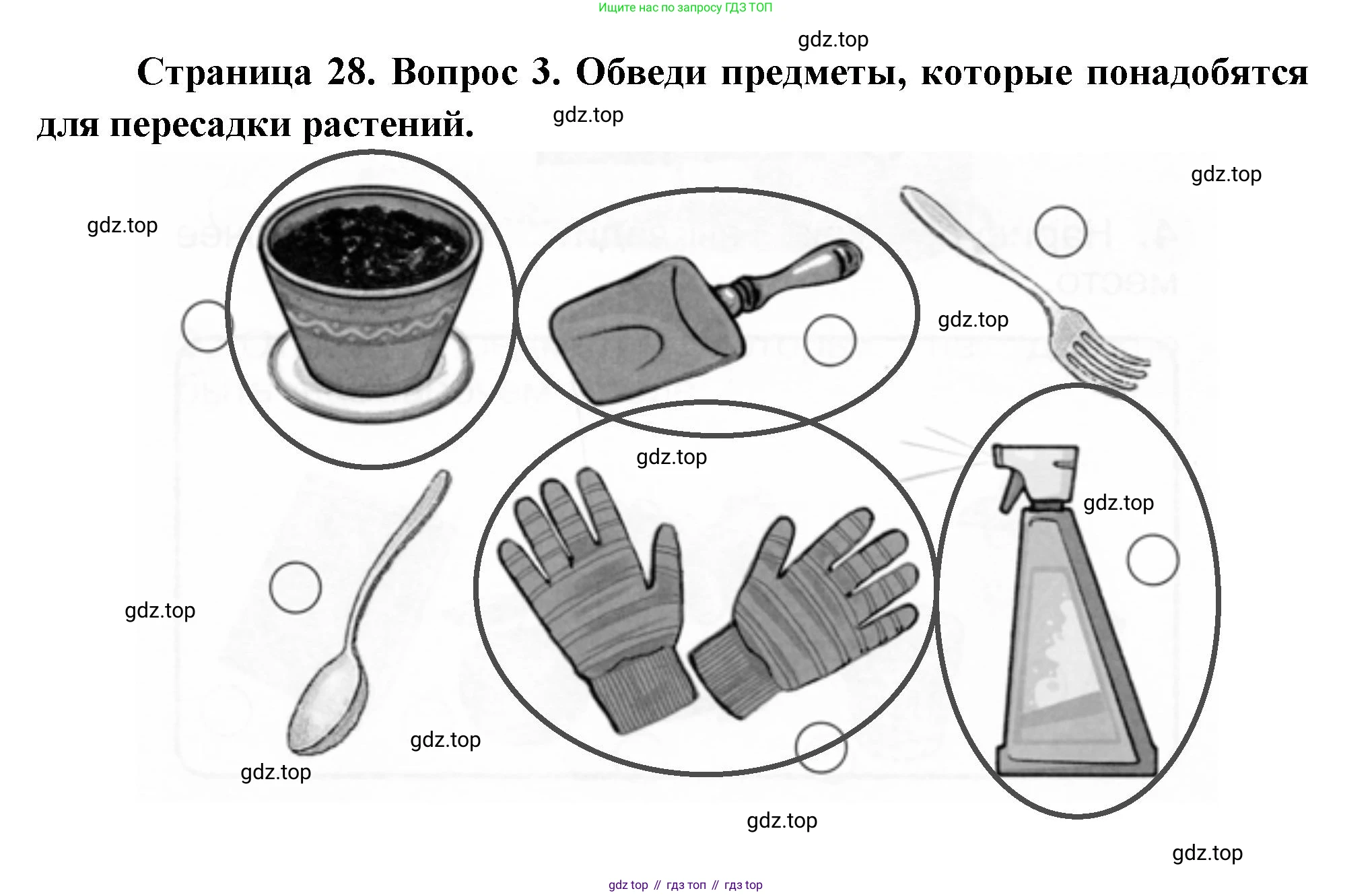 ГДЗ Окружающий мир, 1 класс рабочая тетрадь, авторы: Плешаков Андрей Анатольевич, Новицкая Марина Юрьевна, издательство Просвещение, Москва, 2023, белого цвета, Часть 1, страница 28, номер 3, Решение