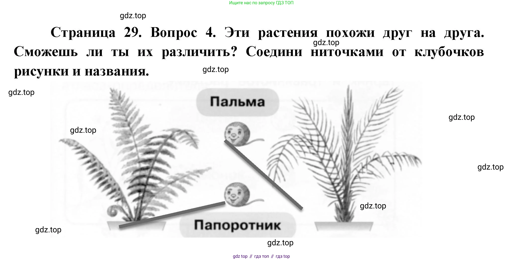 ГДЗ Окружающий мир, 1 класс рабочая тетрадь, авторы: Плешаков Андрей Анатольевич, Новицкая Марина Юрьевна, издательство Просвещение, Москва, 2023, белого цвета, Часть 1, страница 29, номер 4, Решение