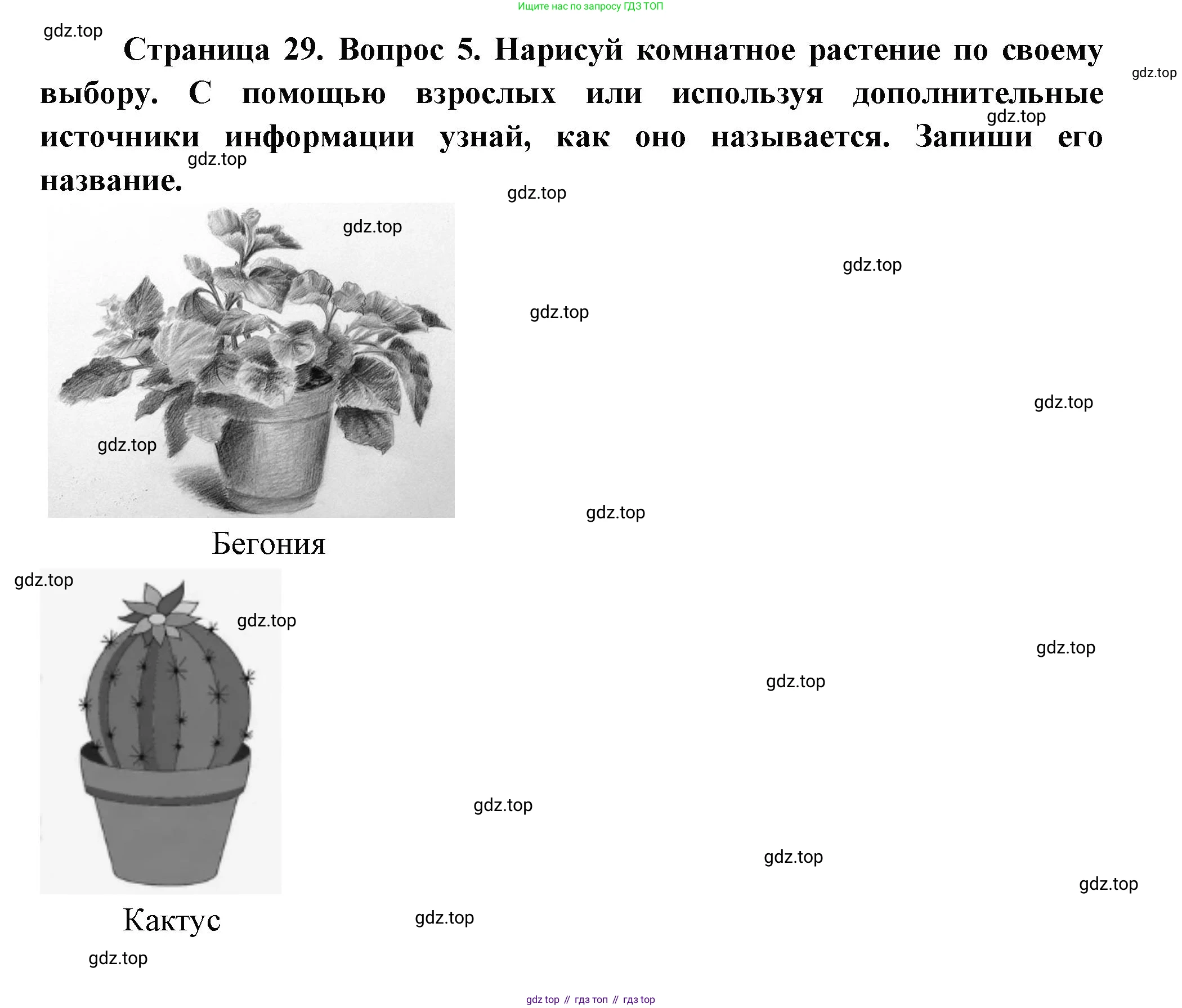 ГДЗ Окружающий мир, 1 класс рабочая тетрадь, авторы: Плешаков Андрей Анатольевич, Новицкая Марина Юрьевна, издательство Просвещение, Москва, 2023, белого цвета, Часть 1, страница 29, номер 5, Решение