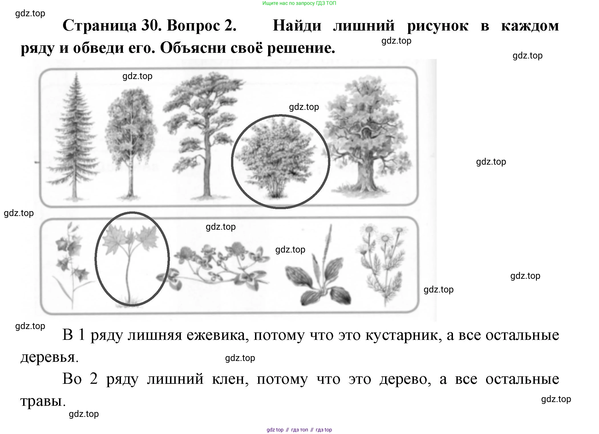 ГДЗ Окружающий мир, 1 класс рабочая тетрадь, авторы: Плешаков Андрей Анатольевич, Новицкая Марина Юрьевна, издательство Просвещение, Москва, 2023, белого цвета, Часть 1, страница 30, номер 2, Решение