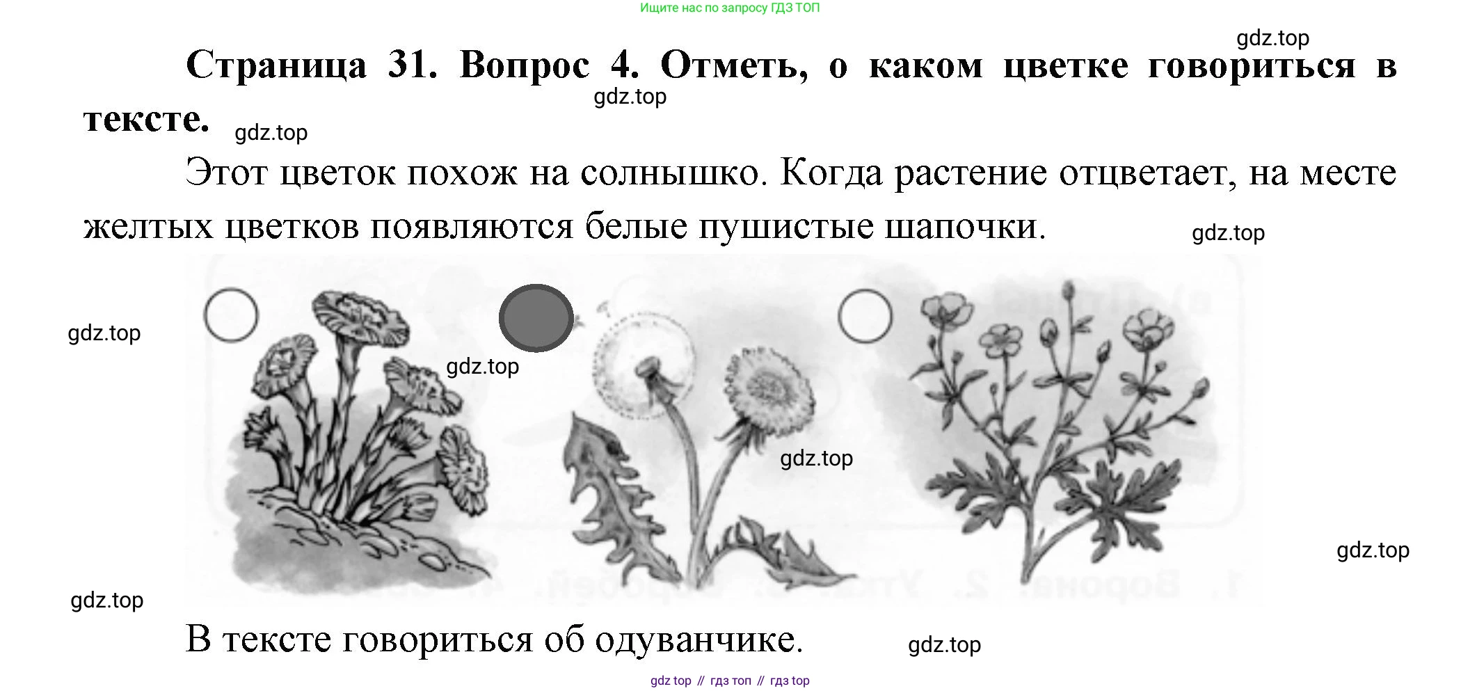 ГДЗ Окружающий мир, 1 класс рабочая тетрадь, авторы: Плешаков Андрей Анатольевич, Новицкая Марина Юрьевна, издательство Просвещение, Москва, 2023, белого цвета, Часть 1, страница 31, номер 4, Решение