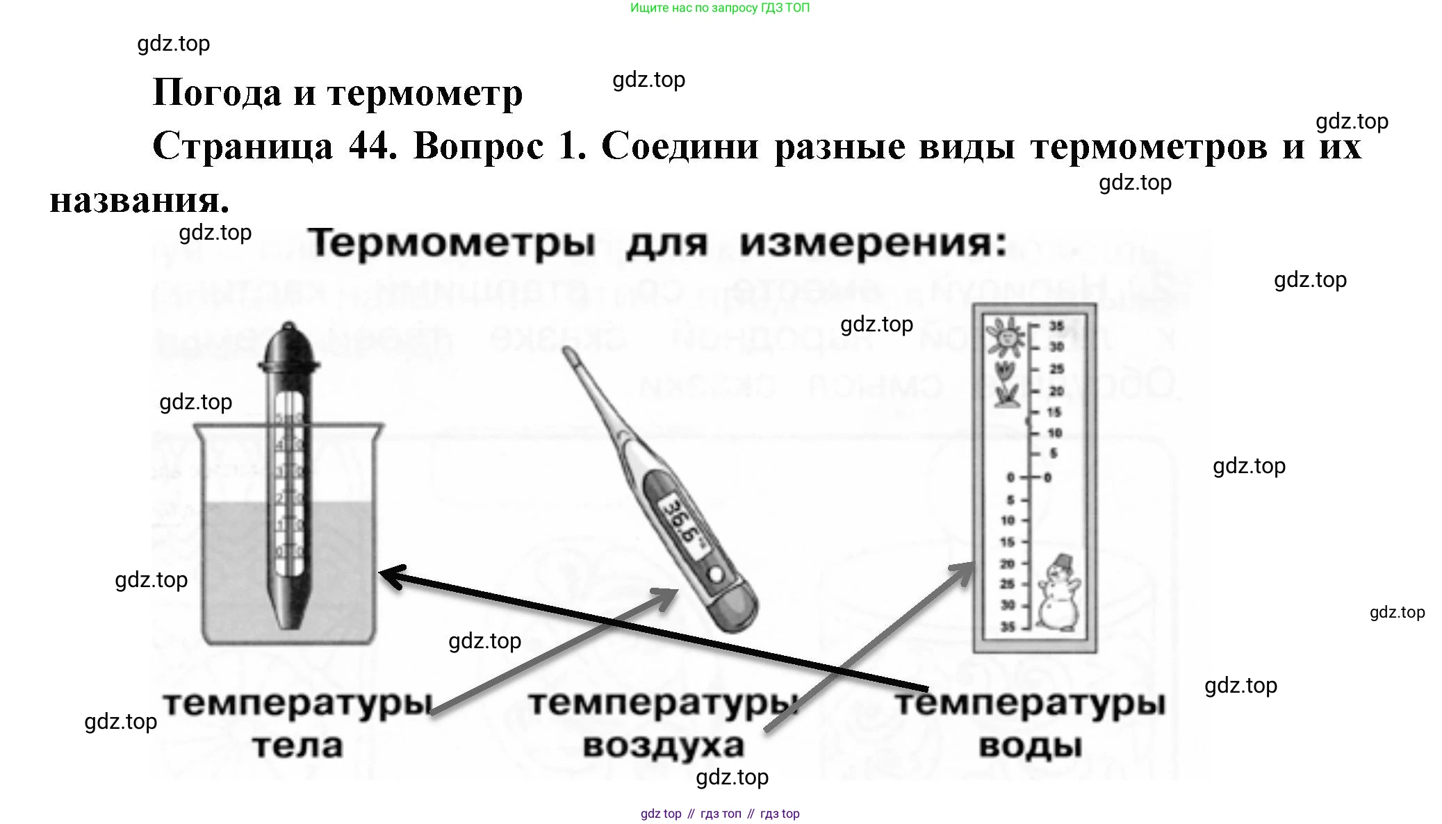 ГДЗ Окружающий мир, 1 класс рабочая тетрадь, авторы: Плешаков Андрей Анатольевич, Новицкая Марина Юрьевна, издательство Просвещение, Москва, 2023, белого цвета, Часть 1, страница 44, номер 1, Решение