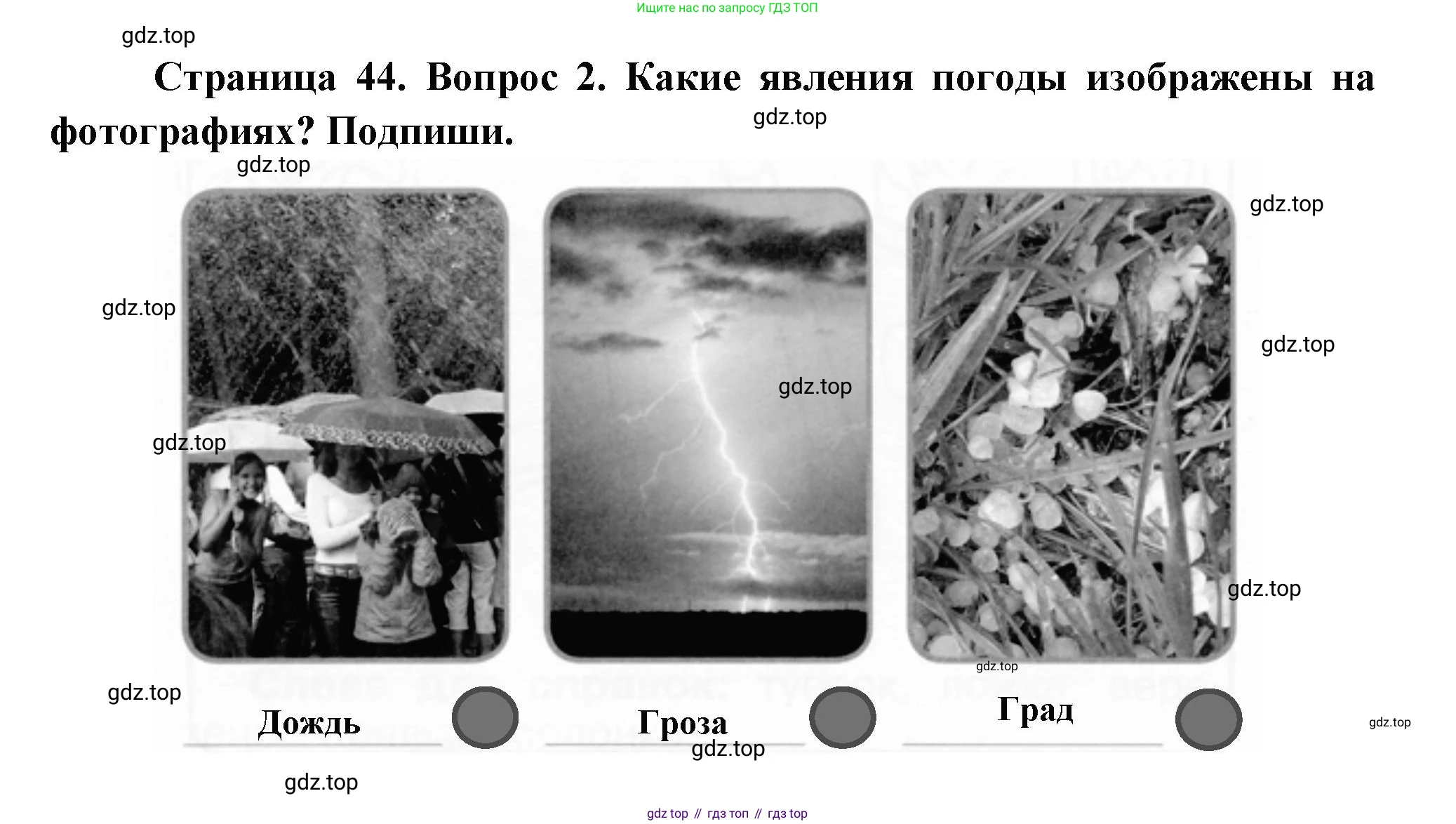 ГДЗ Окружающий мир, 1 класс рабочая тетрадь, авторы: Плешаков Андрей Анатольевич, Новицкая Марина Юрьевна, издательство Просвещение, Москва, 2023, белого цвета, Часть 1, страница 44, номер 2, Решение