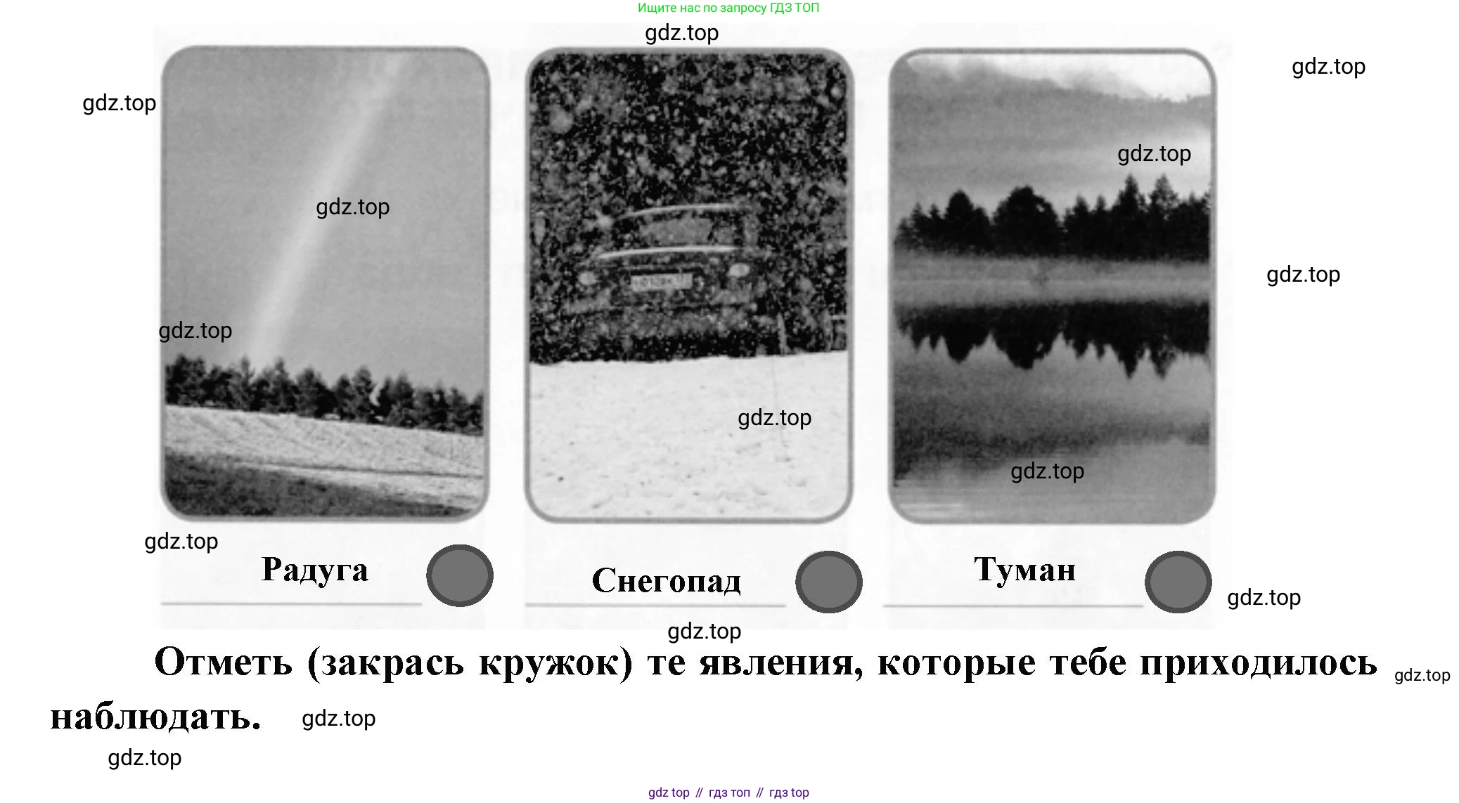 ГДЗ Окружающий мир, 1 класс рабочая тетрадь, авторы: Плешаков Андрей Анатольевич, Новицкая Марина Юрьевна, издательство Просвещение, Москва, 2023, белого цвета, Часть 1, страница 44, номер 2, Решение (продолжение 2)