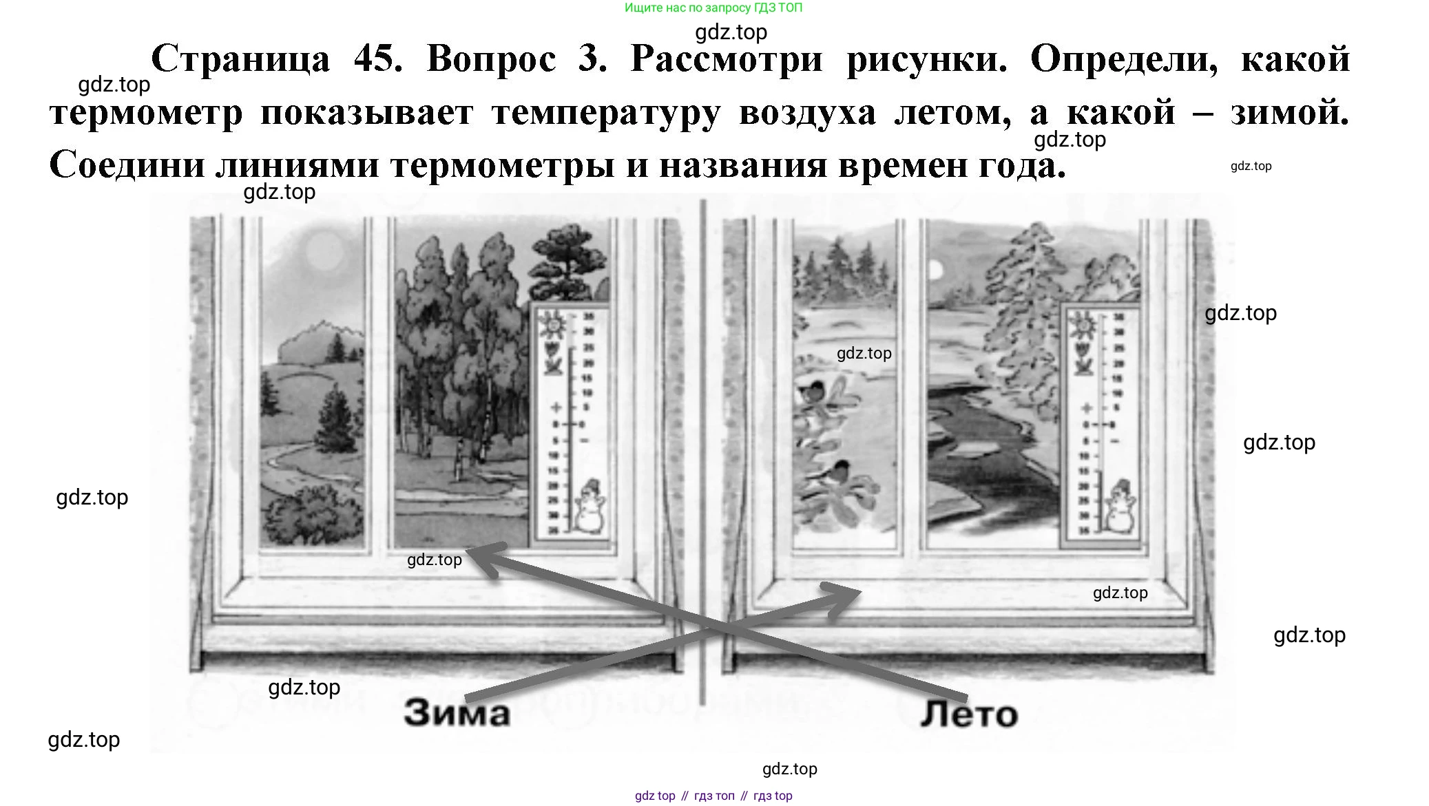ГДЗ Окружающий мир, 1 класс рабочая тетрадь, авторы: Плешаков Андрей Анатольевич, Новицкая Марина Юрьевна, издательство Просвещение, Москва, 2023, белого цвета, Часть 1, страница 45, номер 3, Решение