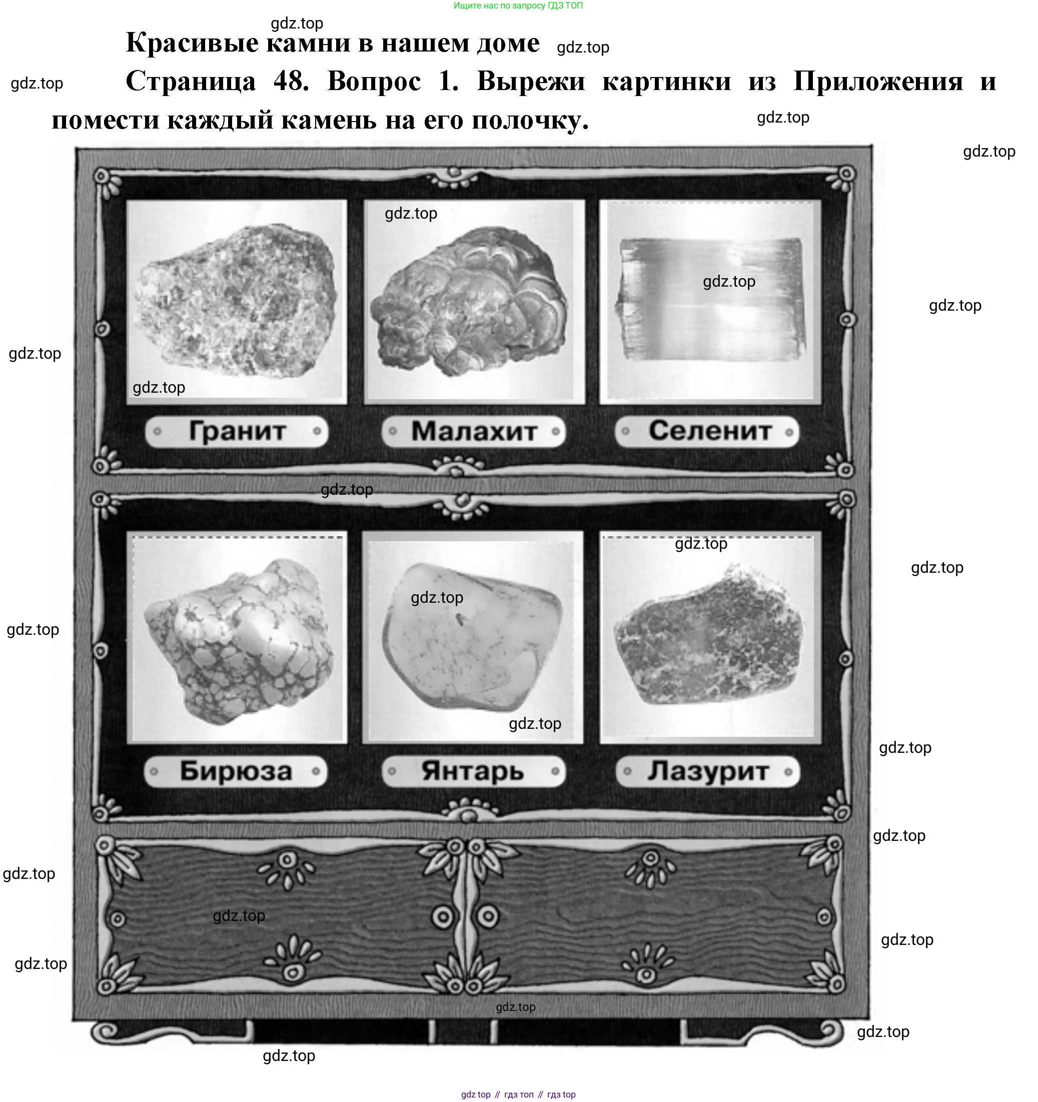 ГДЗ Окружающий мир, 1 класс рабочая тетрадь, авторы: Плешаков Андрей Анатольевич, Новицкая Марина Юрьевна, издательство Просвещение, Москва, 2023, белого цвета, Часть 1, страница 48, номер 1, Решение