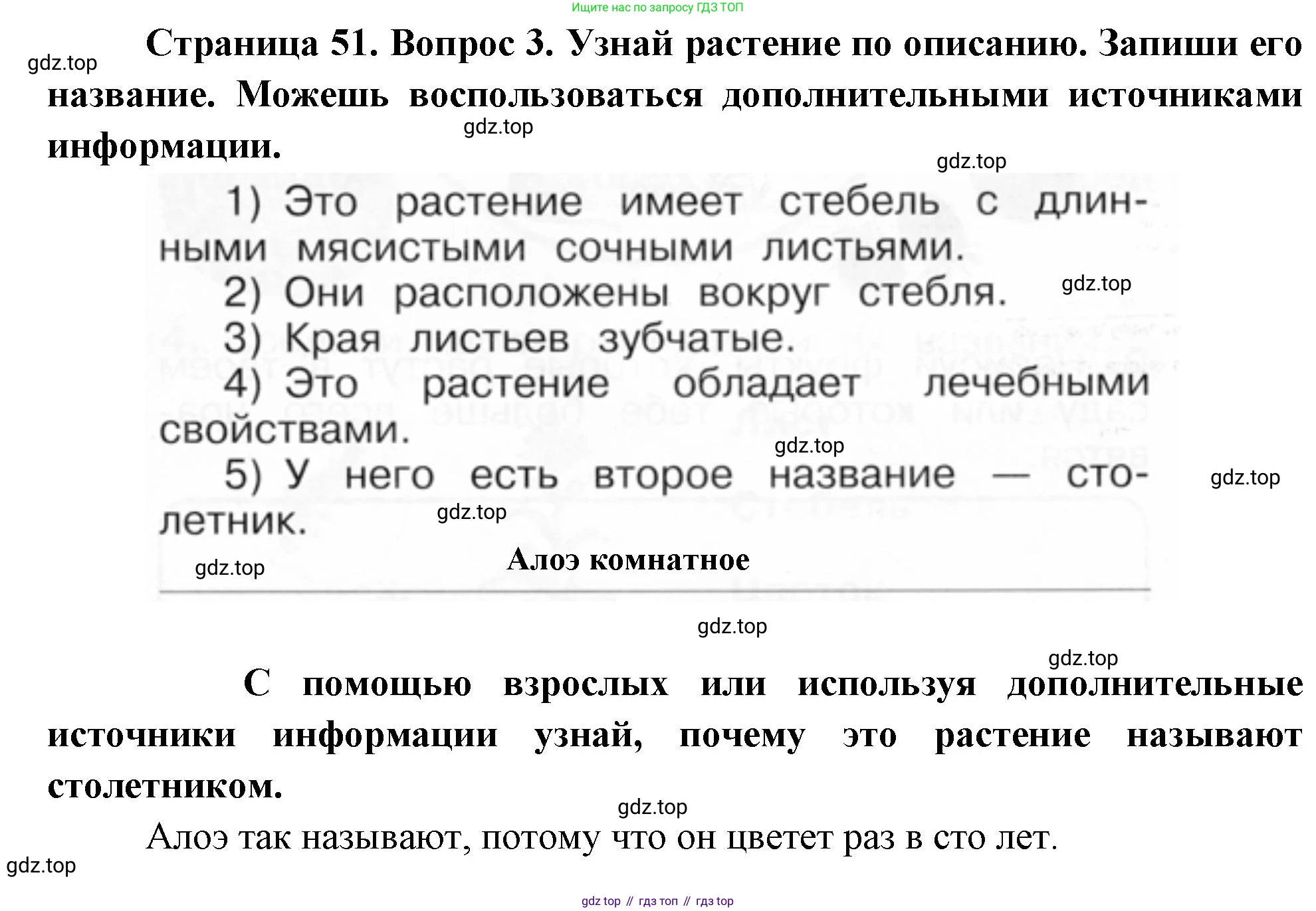 ГДЗ Окружающий мир, 1 класс рабочая тетрадь, авторы: Плешаков Андрей Анатольевич, Новицкая Марина Юрьевна, издательство Просвещение, Москва, 2023, белого цвета, Часть 1, страница 51, номер 3, Решение