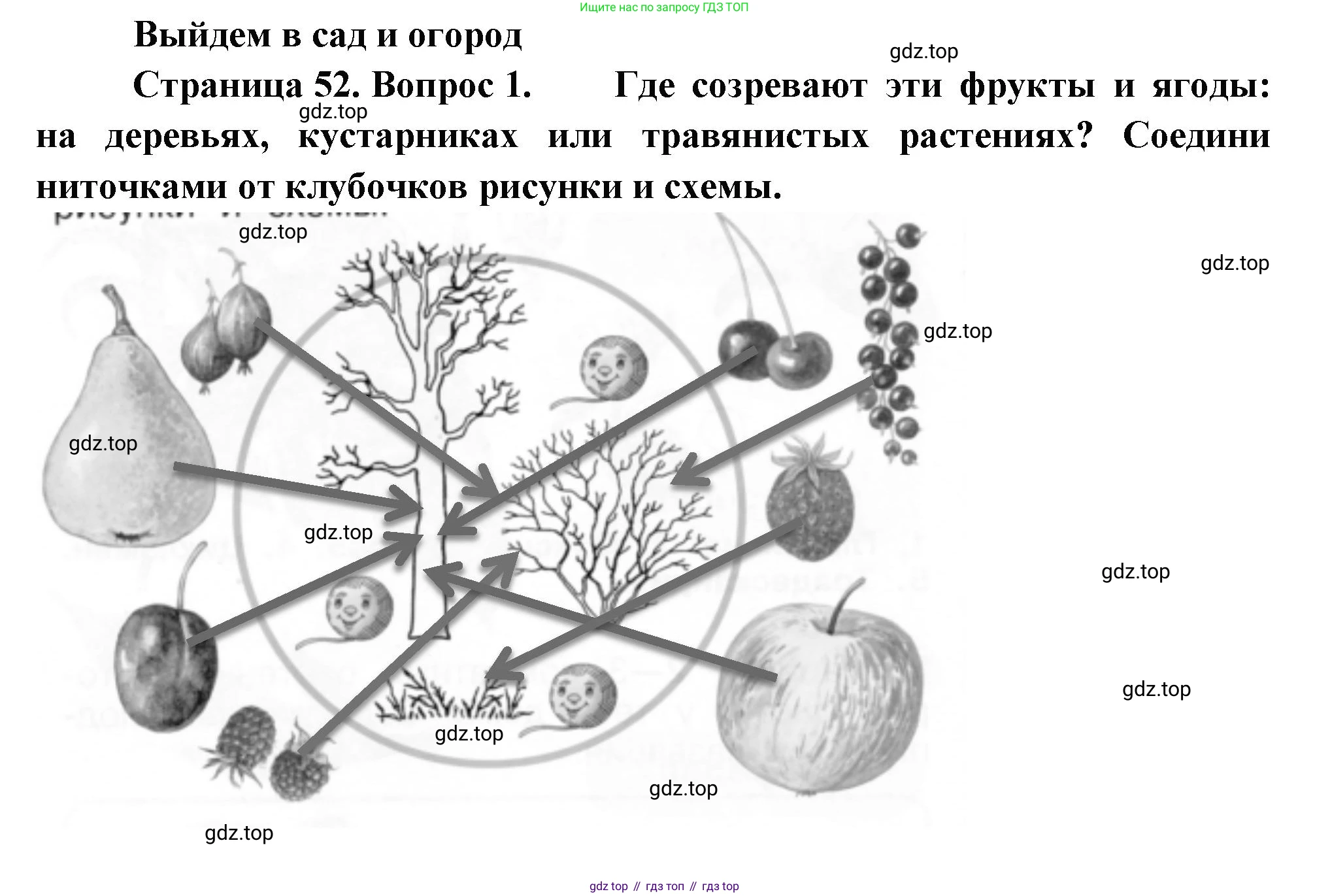 ГДЗ Окружающий мир, 1 класс рабочая тетрадь, авторы: Плешаков Андрей Анатольевич, Новицкая Марина Юрьевна, издательство Просвещение, Москва, 2023, белого цвета, Часть 1, страница 52, номер 1, Решение