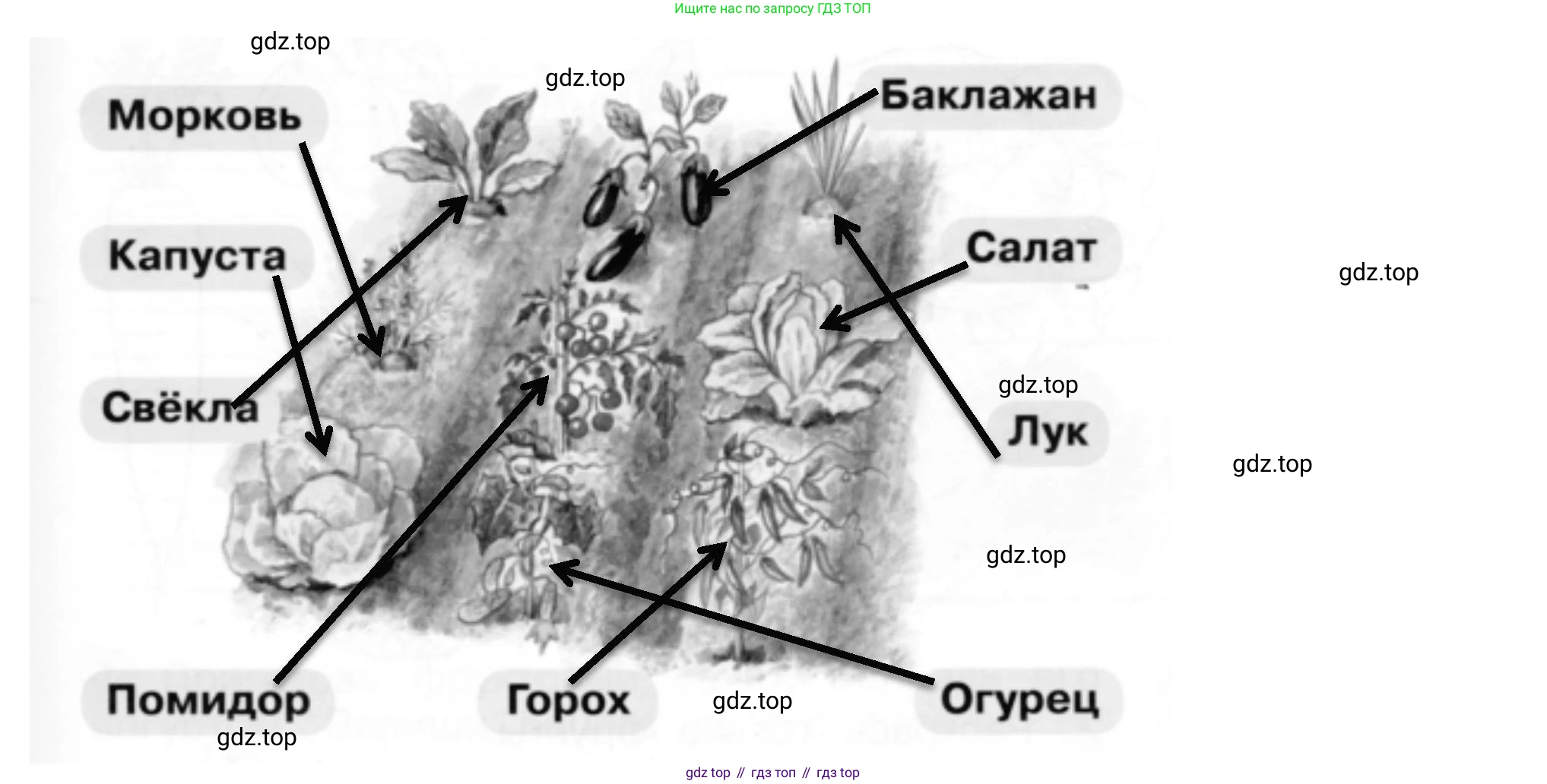 ГДЗ Окружающий мир, 1 класс рабочая тетрадь, авторы: Плешаков Андрей Анатольевич, Новицкая Марина Юрьевна, издательство Просвещение, Москва, 2023, белого цвета, Часть 1, страница 53, номер 3, Решение (продолжение 2)