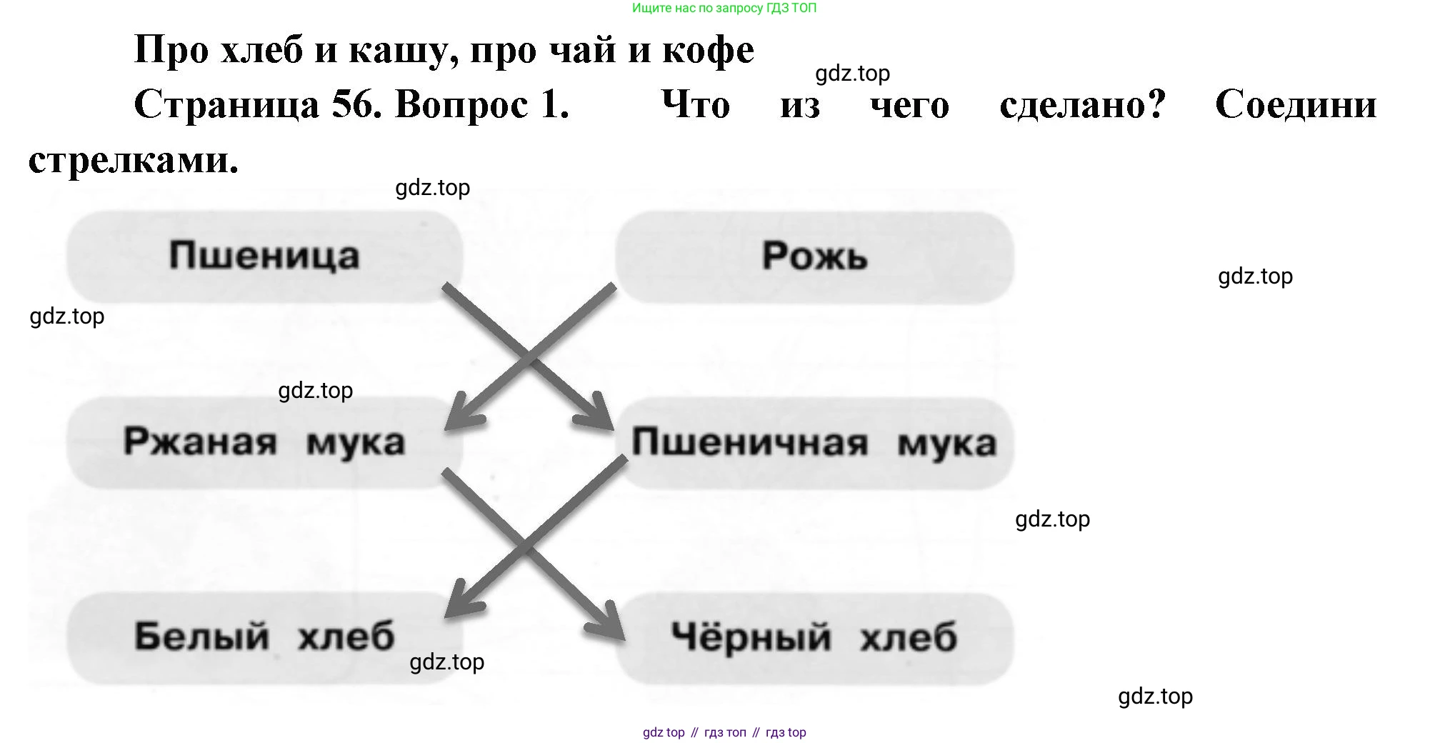 ГДЗ Окружающий мир, 1 класс рабочая тетрадь, авторы: Плешаков Андрей Анатольевич, Новицкая Марина Юрьевна, издательство Просвещение, Москва, 2023, белого цвета, Часть 1, страница 56, номер 1, Решение