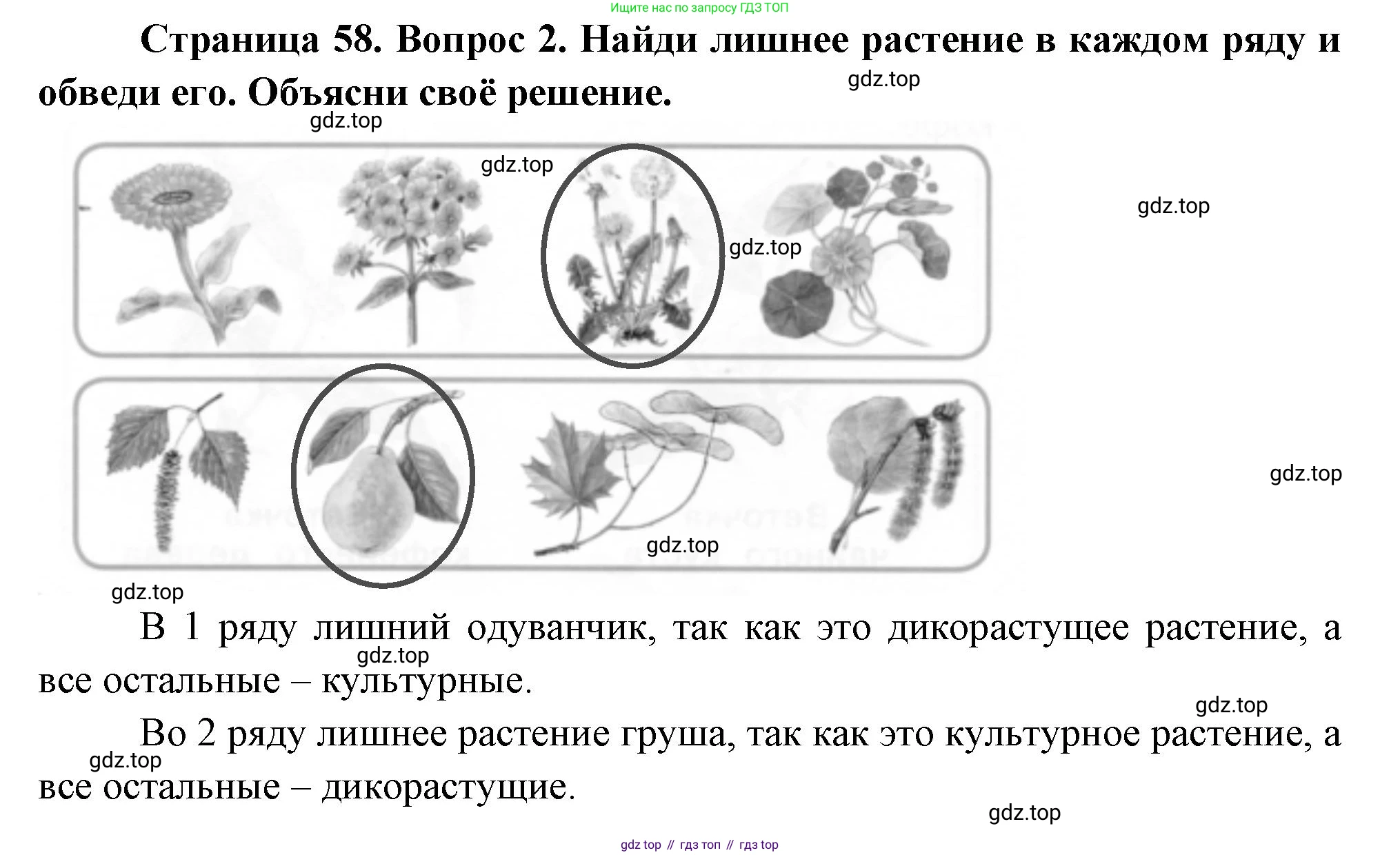 ГДЗ Окружающий мир, 1 класс рабочая тетрадь, авторы: Плешаков Андрей Анатольевич, Новицкая Марина Юрьевна, издательство Просвещение, Москва, 2023, белого цвета, Часть 1, страница 58, номер 2, Решение