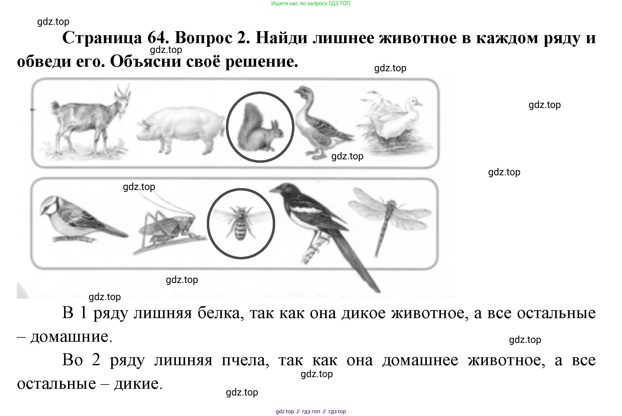 ГДЗ Окружающий мир, 1 класс рабочая тетрадь, авторы: Плешаков Андрей Анатольевич, Новицкая Марина Юрьевна, издательство Просвещение, Москва, 2023, белого цвета, Часть 1, страница 64, номер 2, Решение