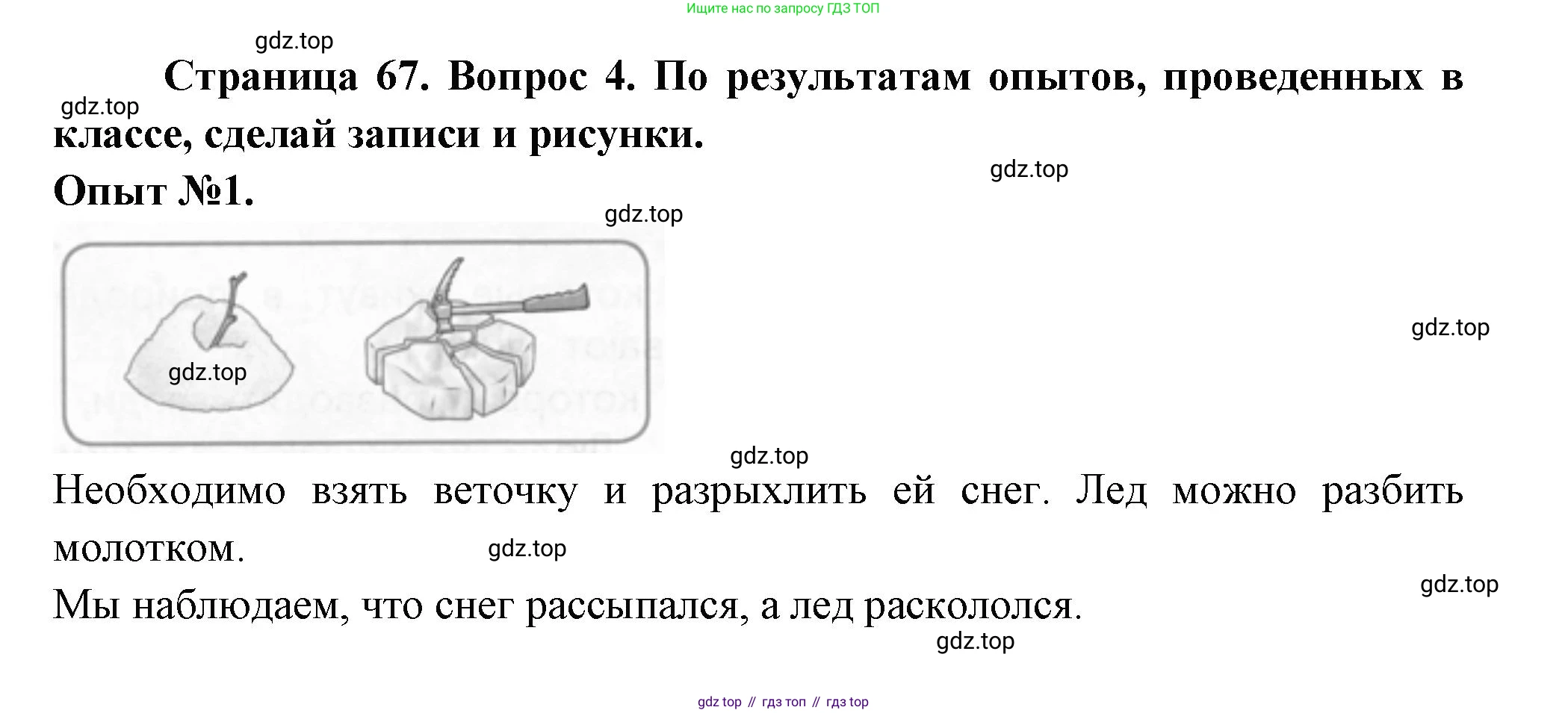 ГДЗ Окружающий мир, 1 класс рабочая тетрадь, авторы: Плешаков Андрей Анатольевич, Новицкая Марина Юрьевна, издательство Просвещение, Москва, 2023, белого цвета, Часть 1, страница 67, номер 4, Решение