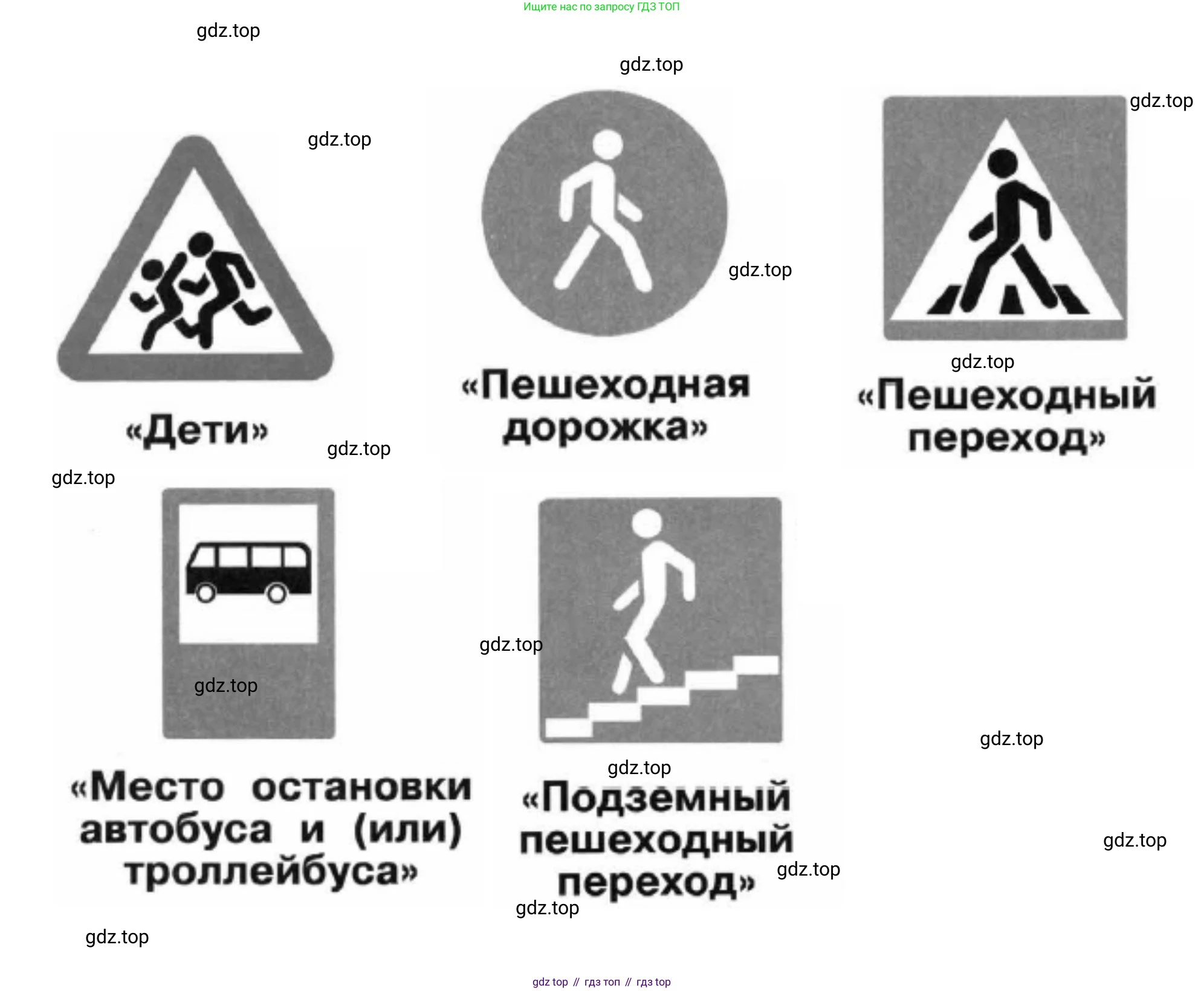 ГДЗ Окружающий мир, 1 класс рабочая тетрадь, авторы: Плешаков Андрей Анатольевич, Новицкая Марина Юрьевна, издательство Просвещение, Москва, 2023, белого цвета, Часть 2, страница 5, номер 2, Решение (продолжение 2)