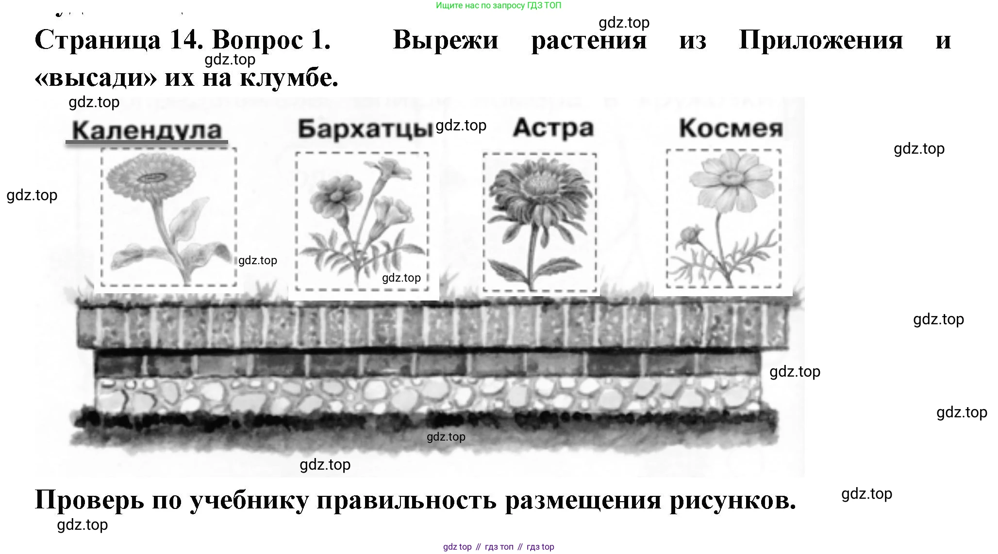 ГДЗ Окружающий мир, 1 класс рабочая тетрадь, авторы: Плешаков Андрей Анатольевич, Новицкая Марина Юрьевна, издательство Просвещение, Москва, 2023, белого цвета, Часть 2, страница 14, номер 1, Решение
