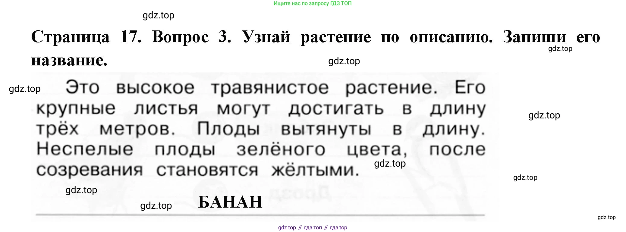ГДЗ Окружающий мир, 1 класс рабочая тетрадь, авторы: Плешаков Андрей Анатольевич, Новицкая Марина Юрьевна, издательство Просвещение, Москва, 2023, белого цвета, Часть 2, страница 17, номер 3, Решение