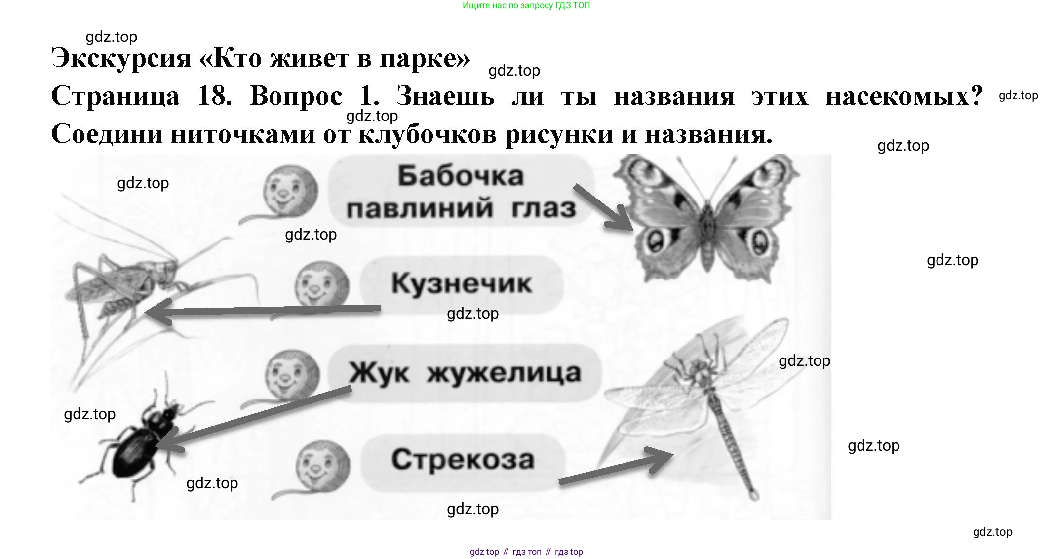 ГДЗ Окружающий мир, 1 класс рабочая тетрадь, авторы: Плешаков Андрей Анатольевич, Новицкая Марина Юрьевна, издательство Просвещение, Москва, 2023, белого цвета, Часть 2, страница 18, номер 1, Решение