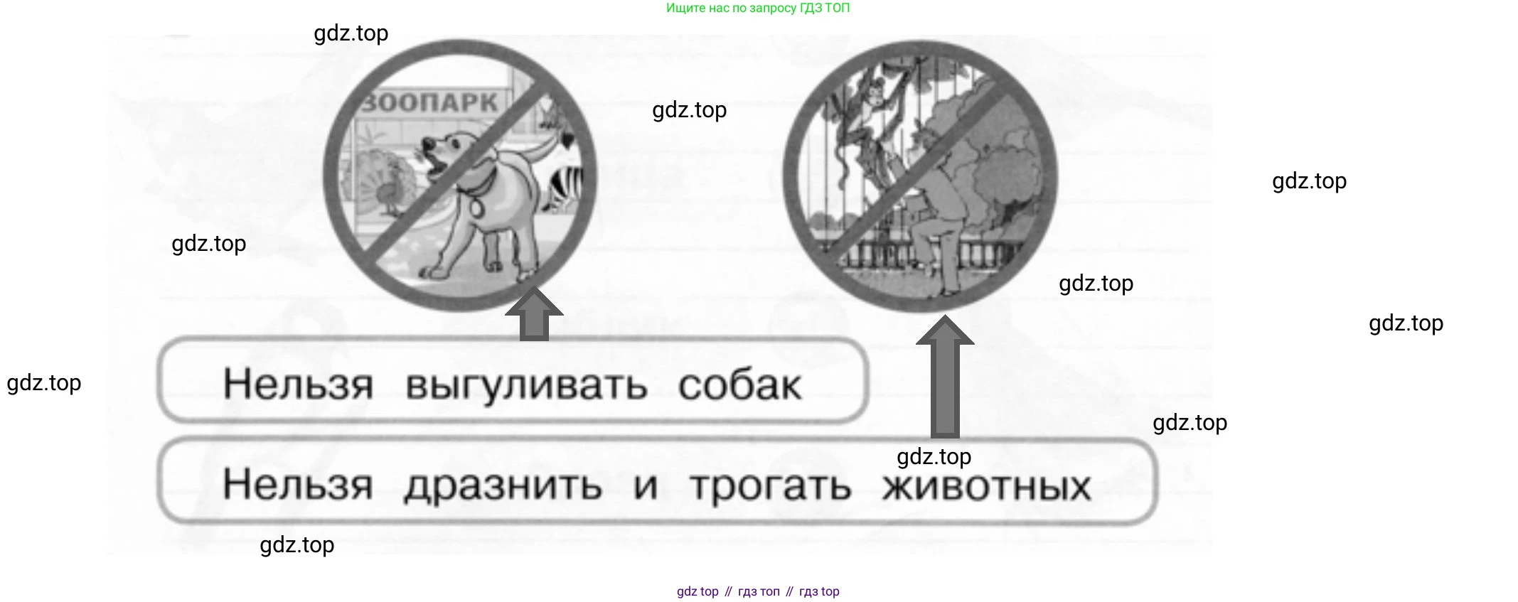 ГДЗ Окружающий мир, 1 класс рабочая тетрадь, авторы: Плешаков Андрей Анатольевич, Новицкая Марина Юрьевна, издательство Просвещение, Москва, 2023, белого цвета, Часть 2, страница 20, номер 2, Решение (продолжение 2)
