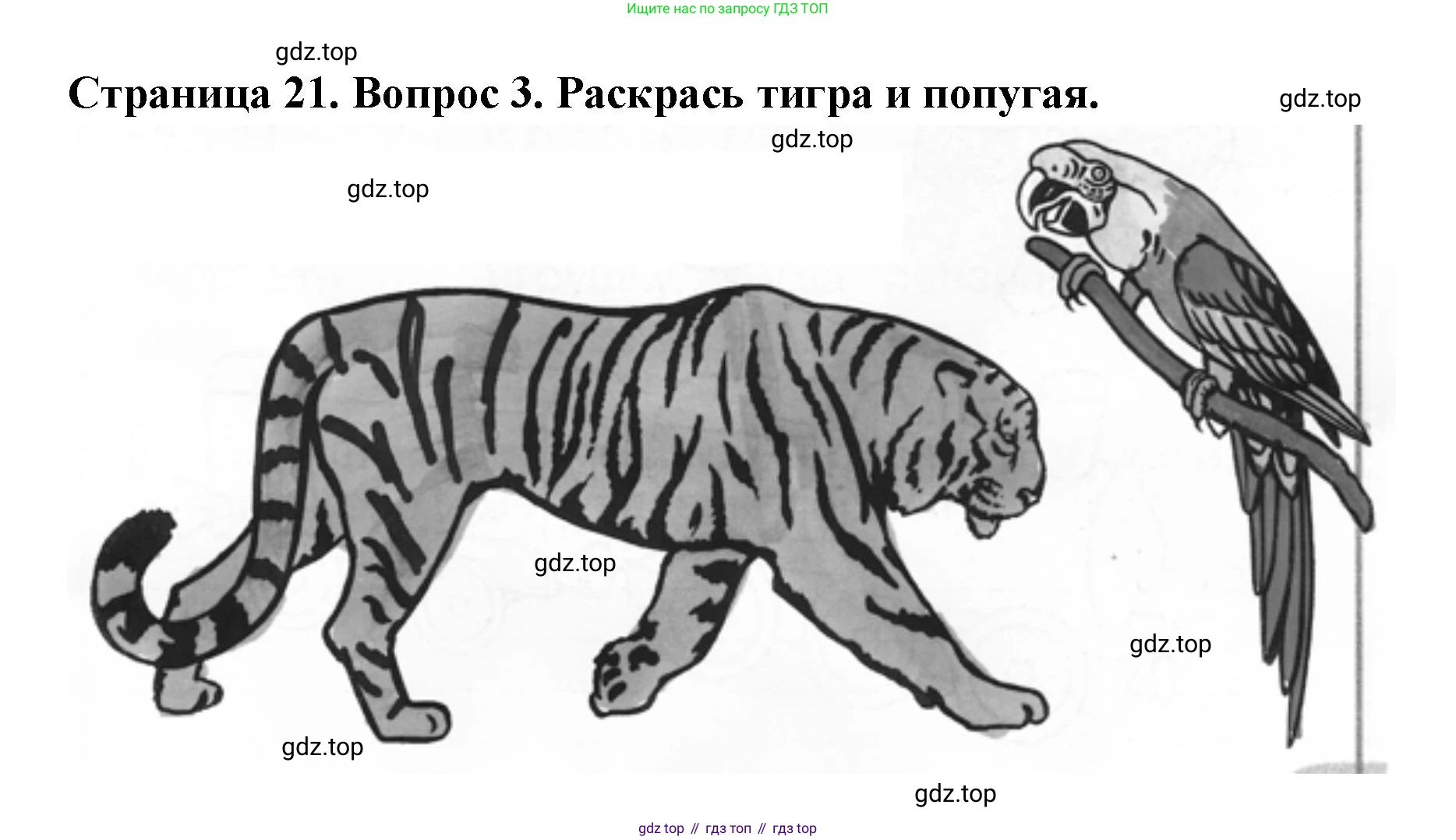 ГДЗ Окружающий мир, 1 класс рабочая тетрадь, авторы: Плешаков Андрей Анатольевич, Новицкая Марина Юрьевна, издательство Просвещение, Москва, 2023, белого цвета, Часть 2, страница 21, номер 3, Решение