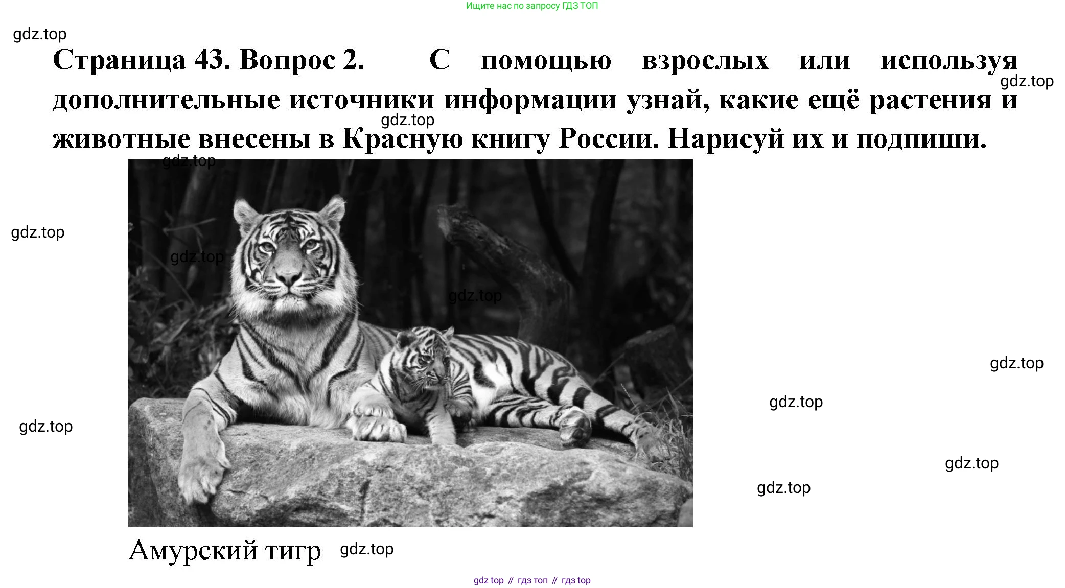 ГДЗ Окружающий мир, 1 класс рабочая тетрадь, авторы: Плешаков Андрей Анатольевич, Новицкая Марина Юрьевна, издательство Просвещение, Москва, 2023, белого цвета, Часть 2, страница 43, номер 2, Решение