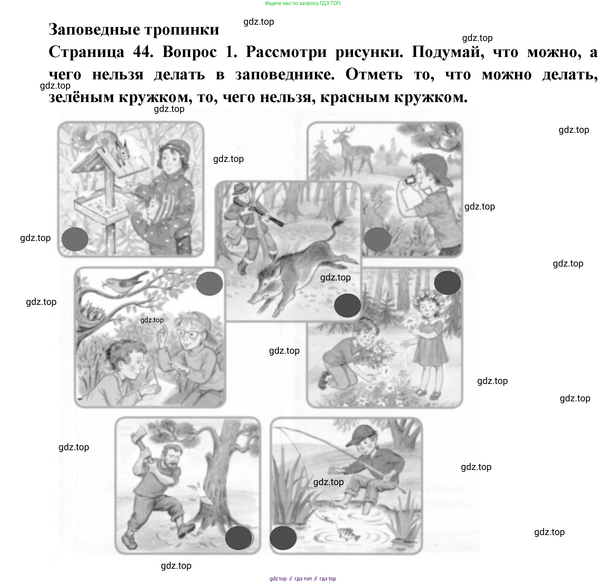 ГДЗ Окружающий мир, 1 класс рабочая тетрадь, авторы: Плешаков Андрей Анатольевич, Новицкая Марина Юрьевна, издательство Просвещение, Москва, 2023, белого цвета, Часть 2, страница 44, номер 1, Решение