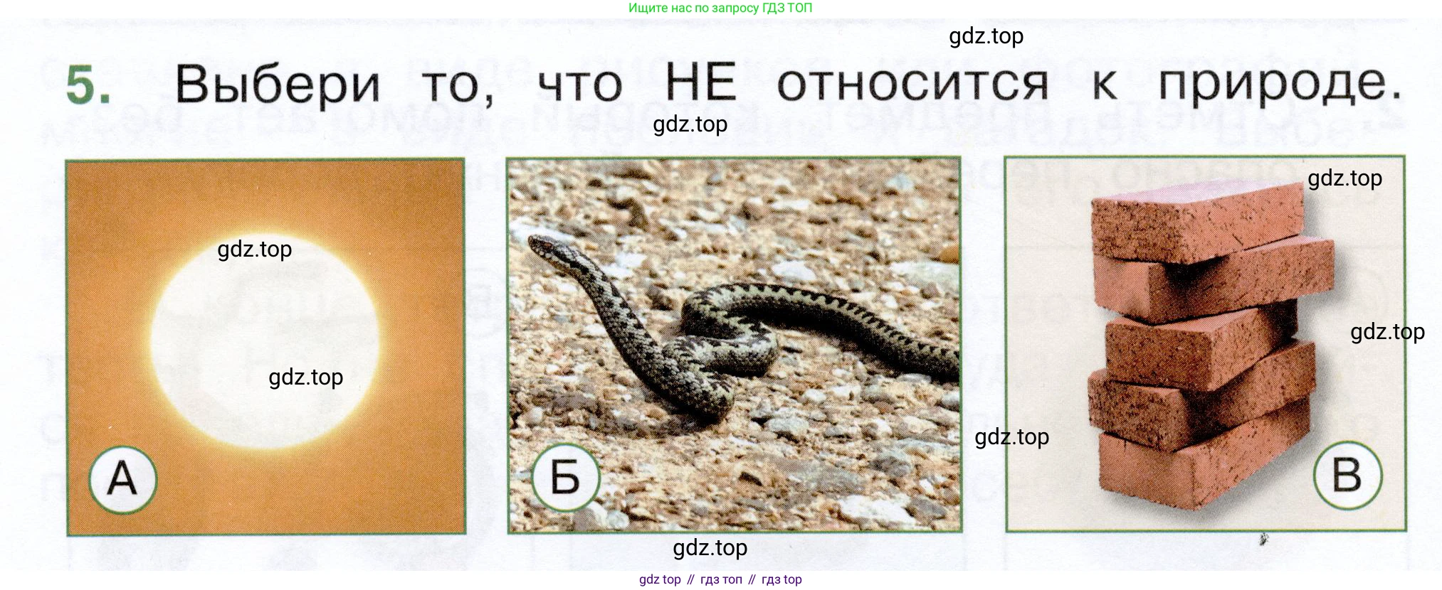 ГДЗ Окружающий мир, 1 класс Тесты, авторы: Плешаков Андрей Анатольевич, Новицкая Марина Юрьевна, Назарова З Д, издательство Просвещение, Москва, 2019, белого цвета, страница 4, номер 5, Условие