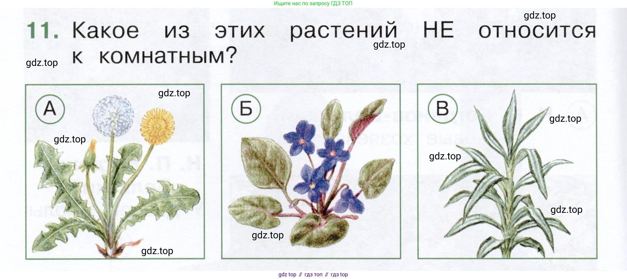 ГДЗ Окружающий мир, 1 класс Тесты, авторы: Плешаков Андрей Анатольевич, Новицкая Марина Юрьевна, Назарова З Д, издательство Просвещение, Москва, 2019, белого цвета, страница 16, номер 11, Условие