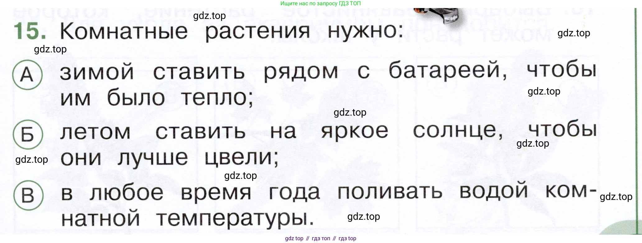 ГДЗ Окружающий мир, 1 класс Тесты, авторы: Плешаков Андрей Анатольевич, Новицкая Марина Юрьевна, Назарова З Д, издательство Просвещение, Москва, 2019, белого цвета, страница 17, номер 15, Условие