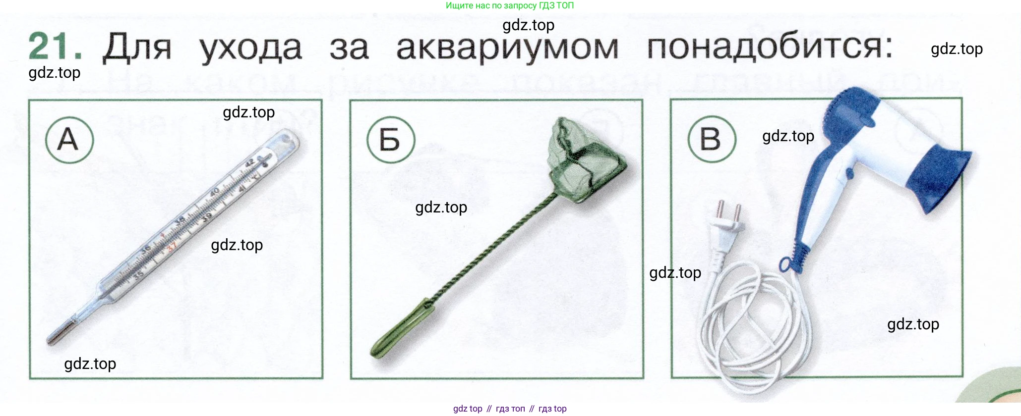 ГДЗ Окружающий мир, 1 класс Тесты, авторы: Плешаков Андрей Анатольевич, Новицкая Марина Юрьевна, Назарова З Д, издательство Просвещение, Москва, 2019, белого цвета, страница 19, номер 21, Условие