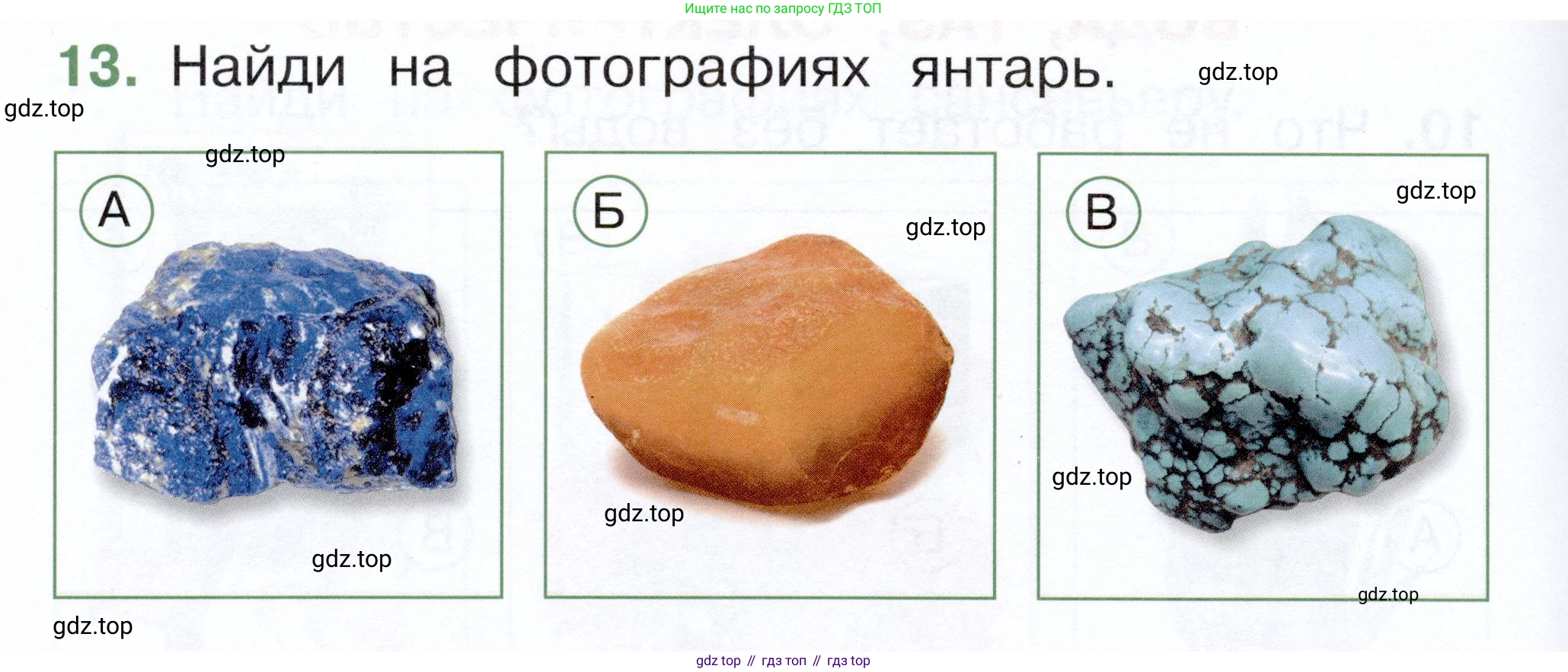 ГДЗ Окружающий мир, 1 класс Тесты, авторы: Плешаков Андрей Анатольевич, Новицкая Марина Юрьевна, Назарова З Д, издательство Просвещение, Москва, 2019, белого цвета, страница 30, номер 13, Условие