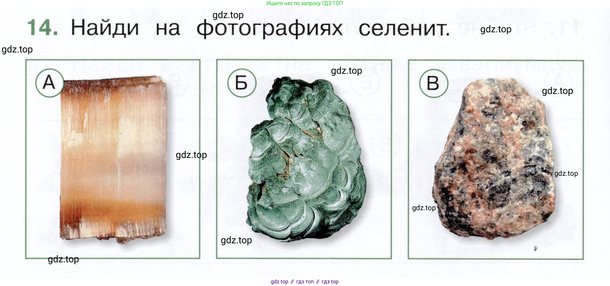 ГДЗ Окружающий мир, 1 класс Тесты, авторы: Плешаков Андрей Анатольевич, Новицкая Марина Юрьевна, Назарова З Д, издательство Просвещение, Москва, 2019, белого цвета, страница 30, номер 14, Условие