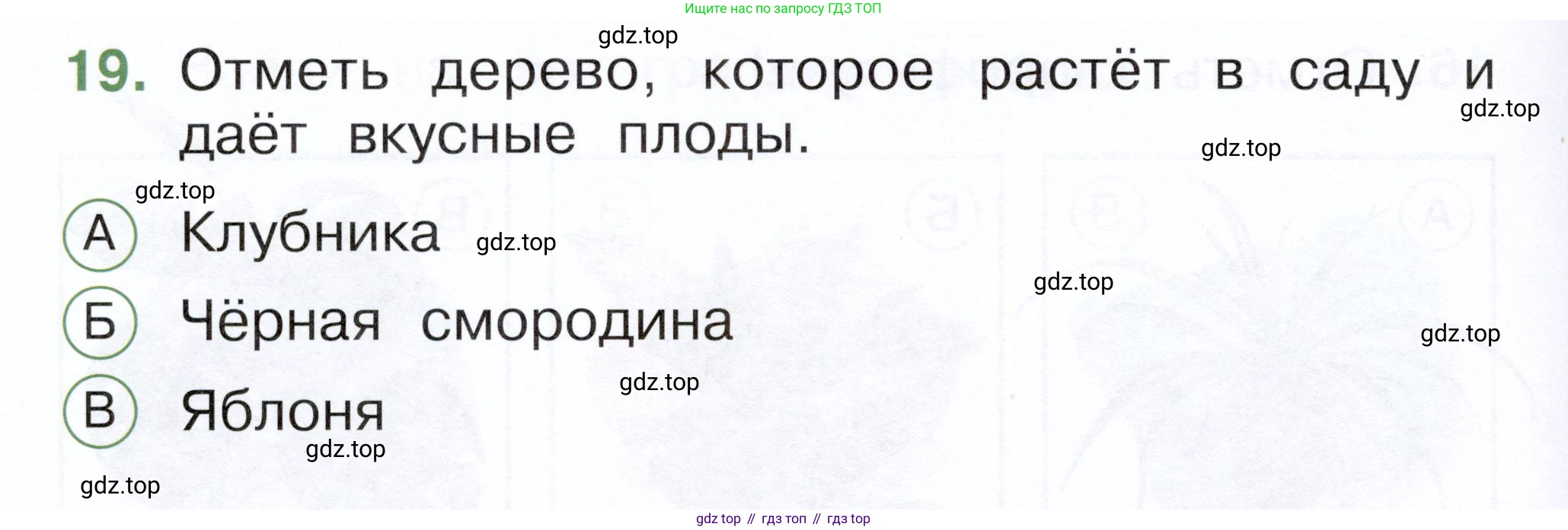 ГДЗ Окружающий мир, 1 класс Тесты, авторы: Плешаков Андрей Анатольевич, Новицкая Марина Юрьевна, Назарова З Д, издательство Просвещение, Москва, 2019, белого цвета, страница 32, номер 19, Условие