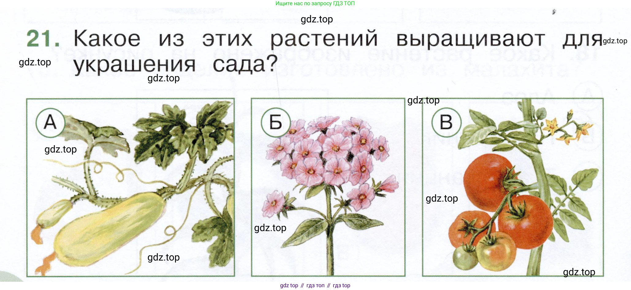 ГДЗ Окружающий мир, 1 класс Тесты, авторы: Плешаков Андрей Анатольевич, Новицкая Марина Юрьевна, Назарова З Д, издательство Просвещение, Москва, 2019, белого цвета, страница 32, номер 21, Условие