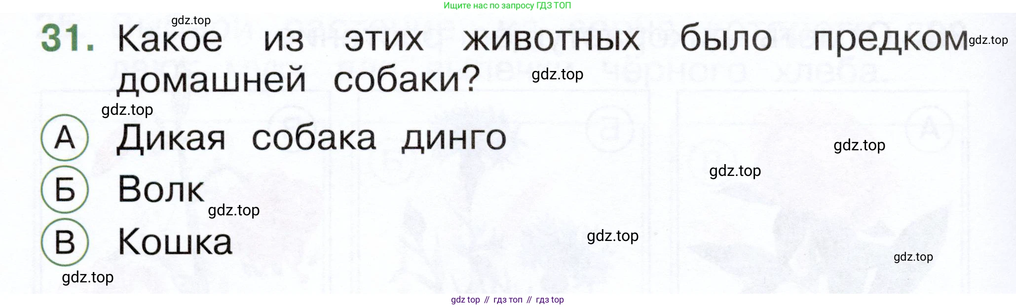 ГДЗ Окружающий мир, 1 класс Тесты, авторы: Плешаков Андрей Анатольевич, Новицкая Марина Юрьевна, Назарова З Д, издательство Просвещение, Москва, 2019, белого цвета, страница 36, номер 31, Условие