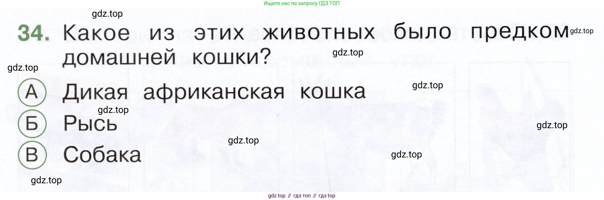 ГДЗ Окружающий мир, 1 класс Тесты, авторы: Плешаков Андрей Анатольевич, Новицкая Марина Юрьевна, Назарова З Д, издательство Просвещение, Москва, 2019, белого цвета, страница 37, номер 34, Условие
